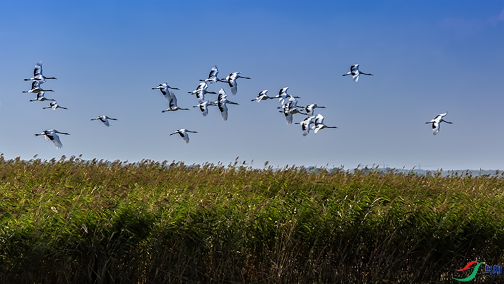 4X6A9391-3.jpg