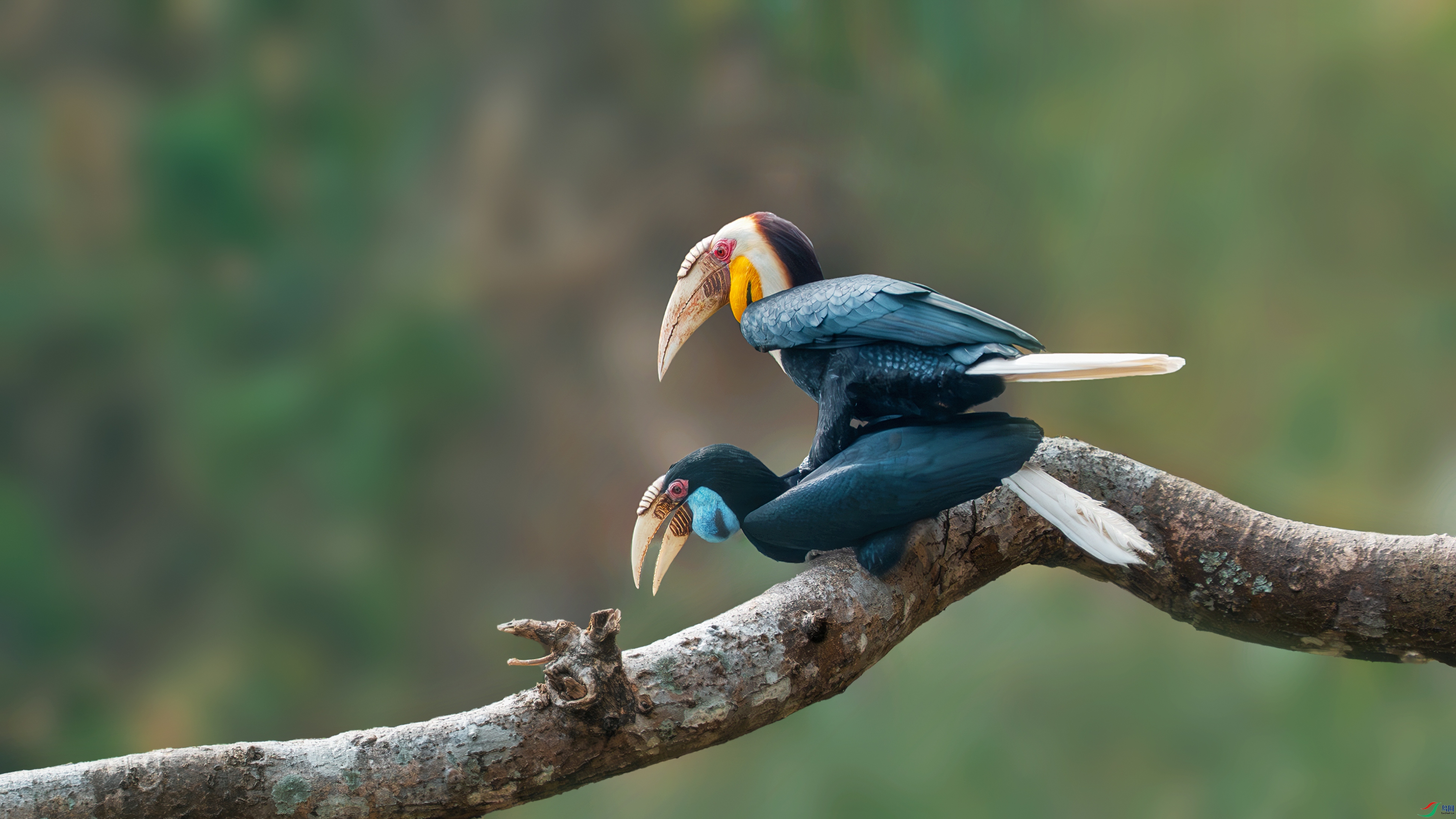 _DSC7075 ����.jpg