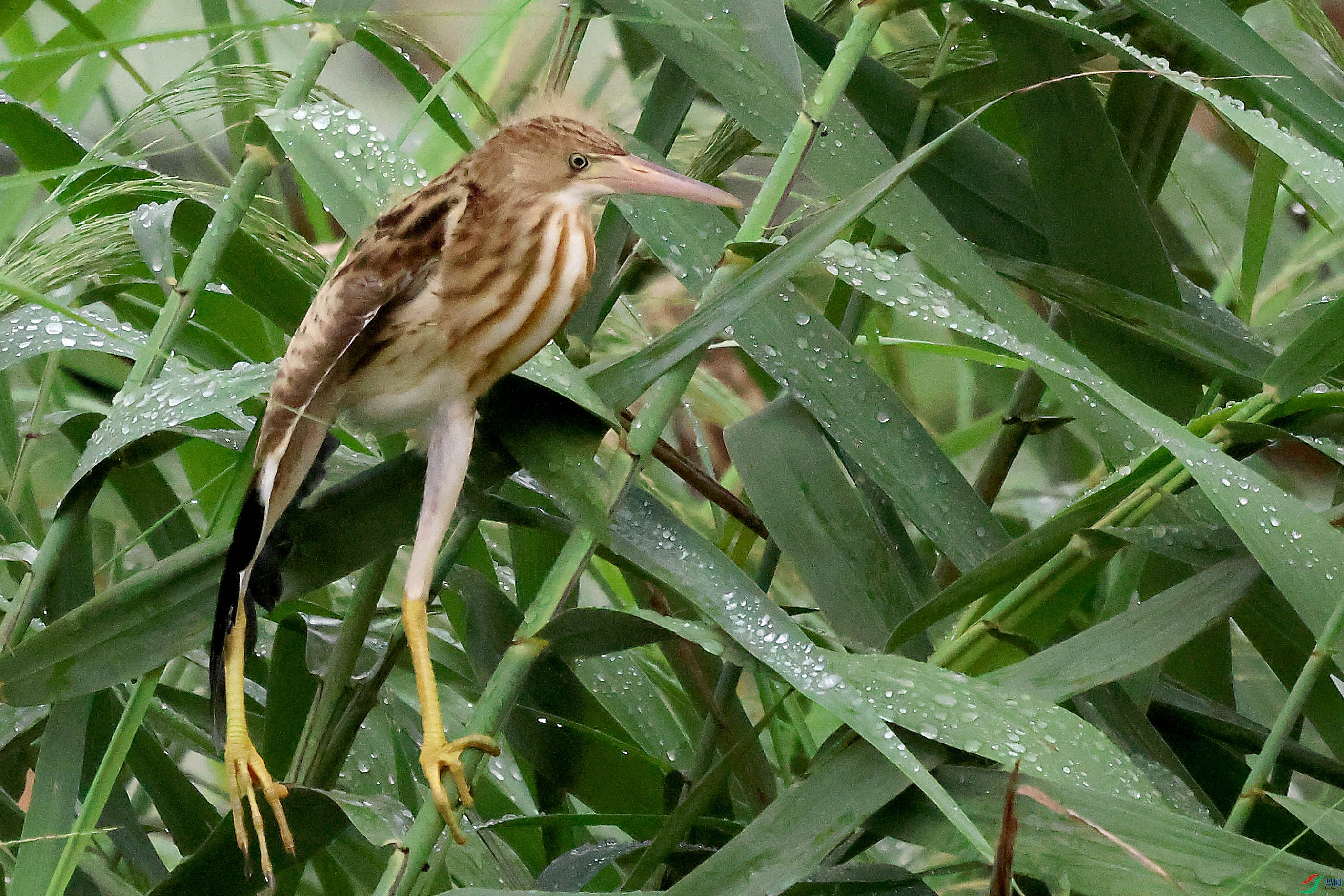 2G9A8786.JPG