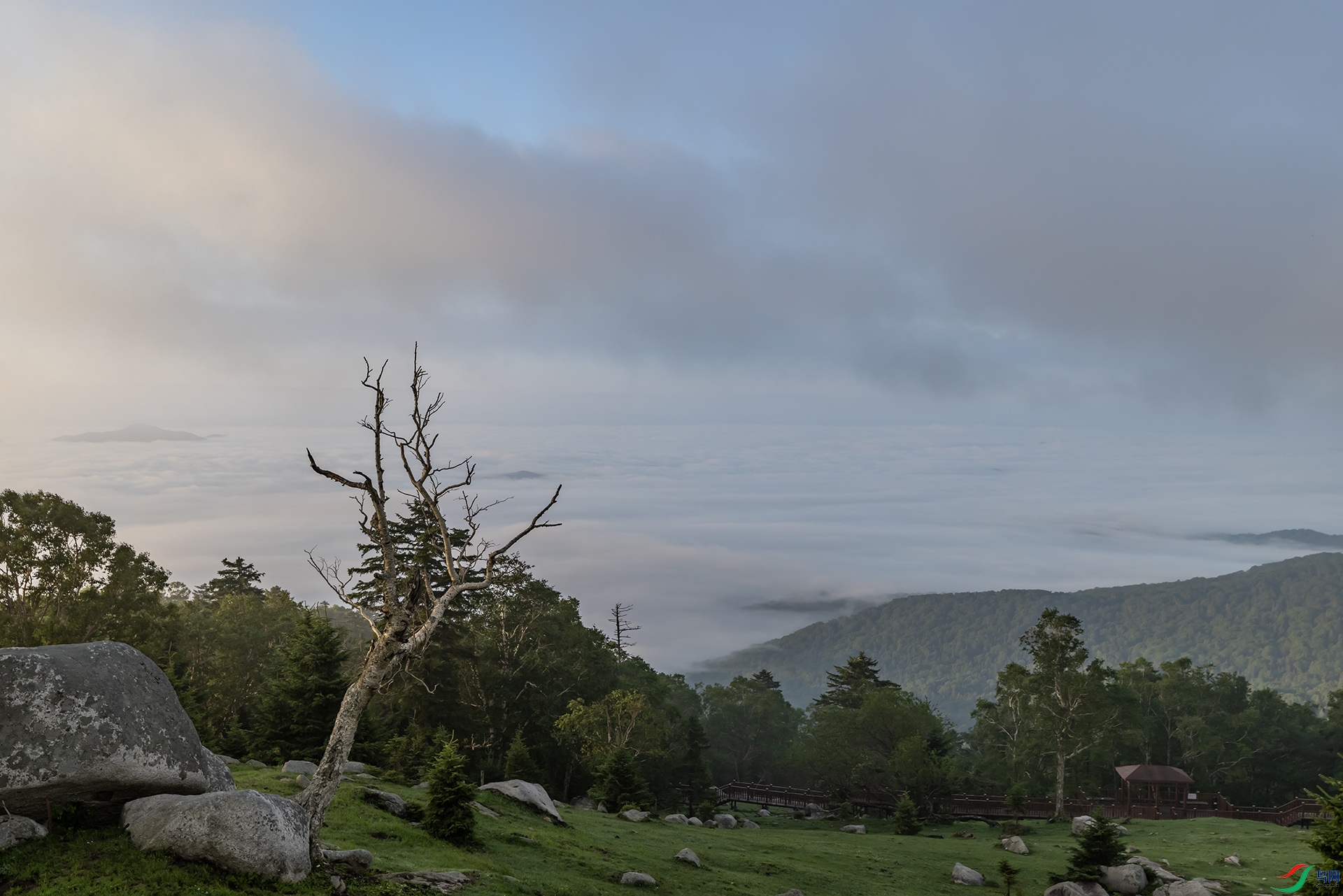 227A4250 ����.jpg