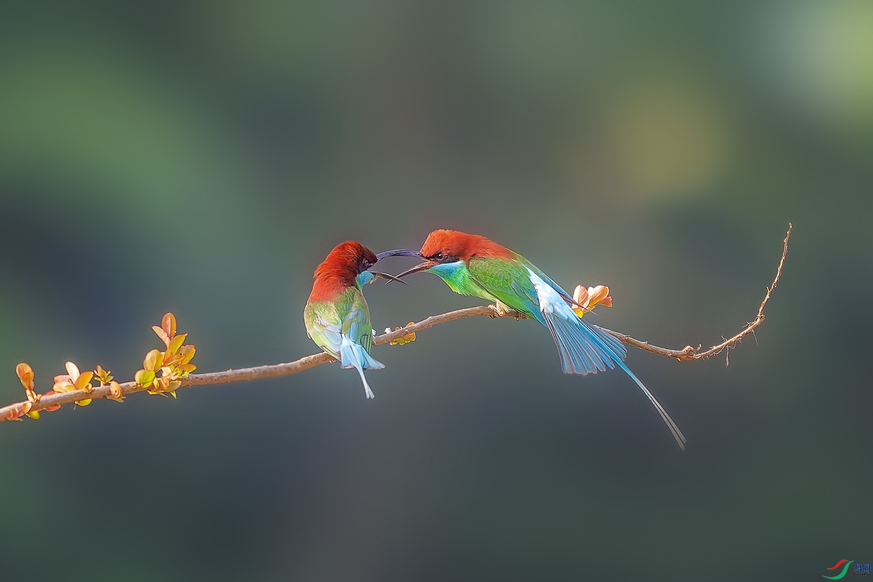 _ABC7382-NEF_DxO_DeepPRIME ���� 2.jpg