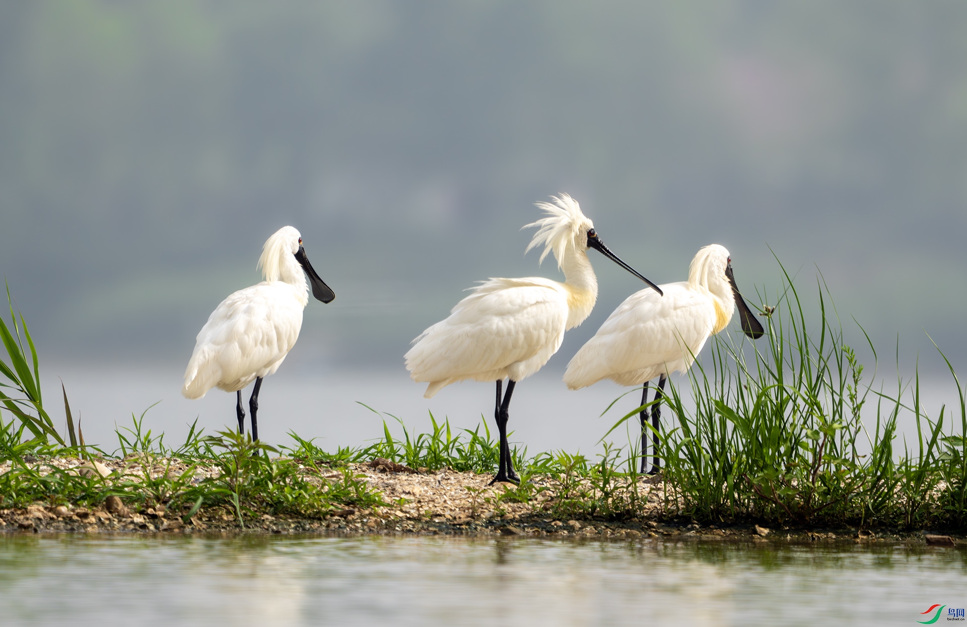 DSC00336-����ǿ-NR ����.jpg