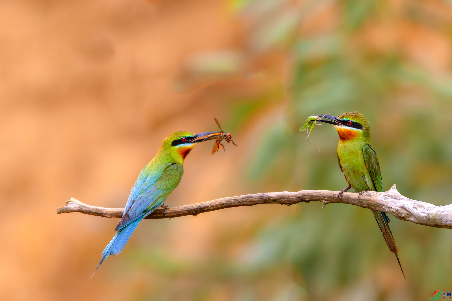 407A0358 ����------1 .jpg