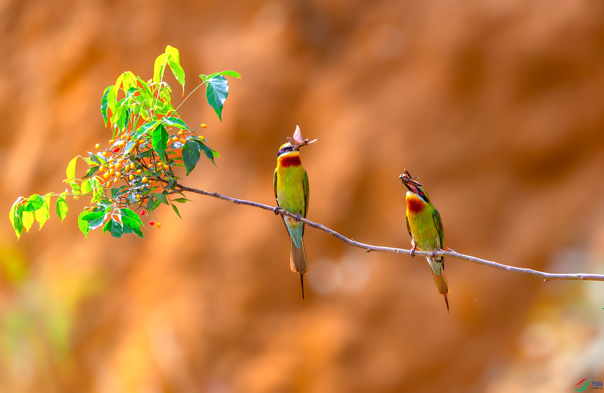 407A5197 ����---1 .jpg