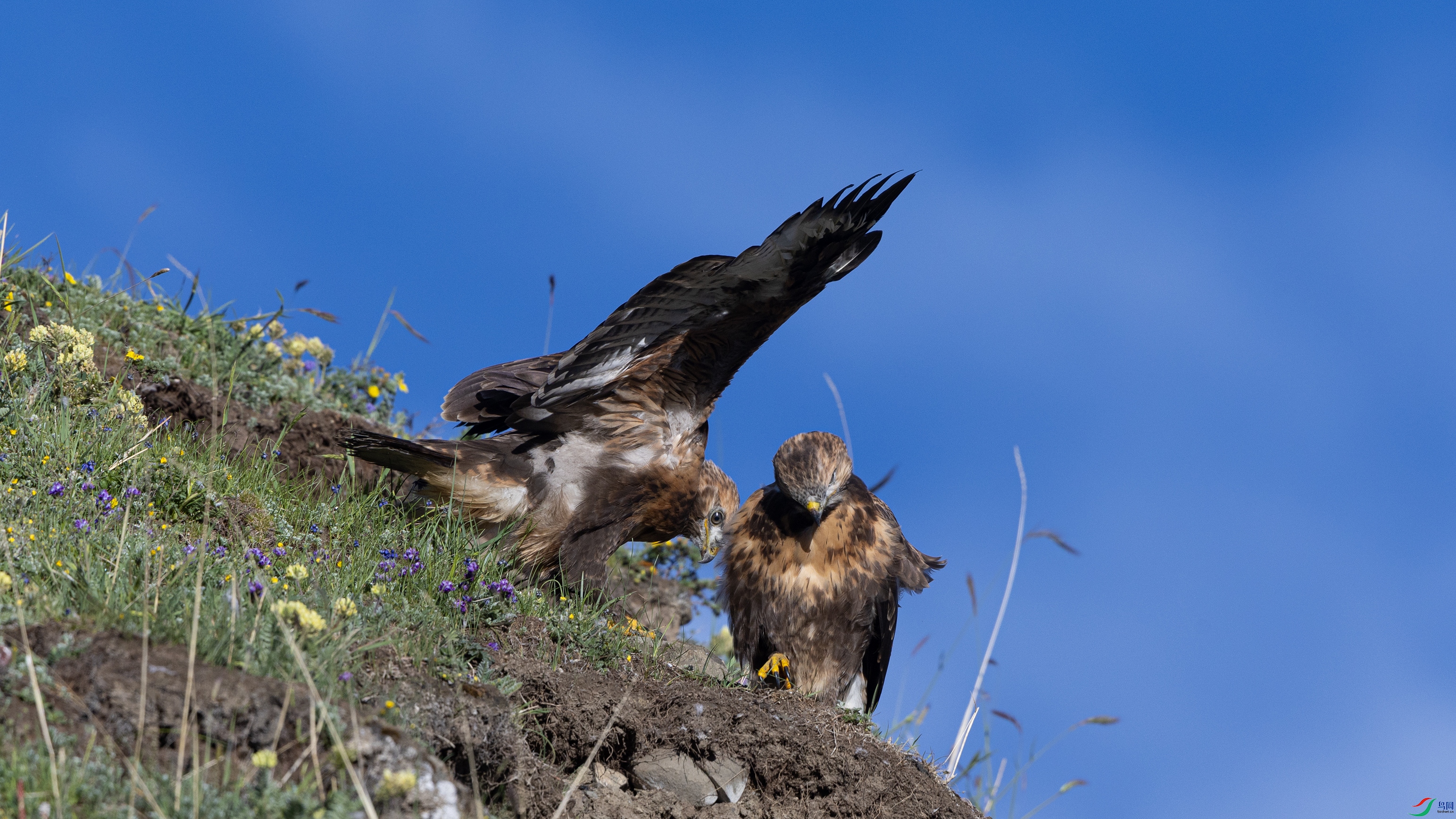 _O7A2422 ����4444.jpg