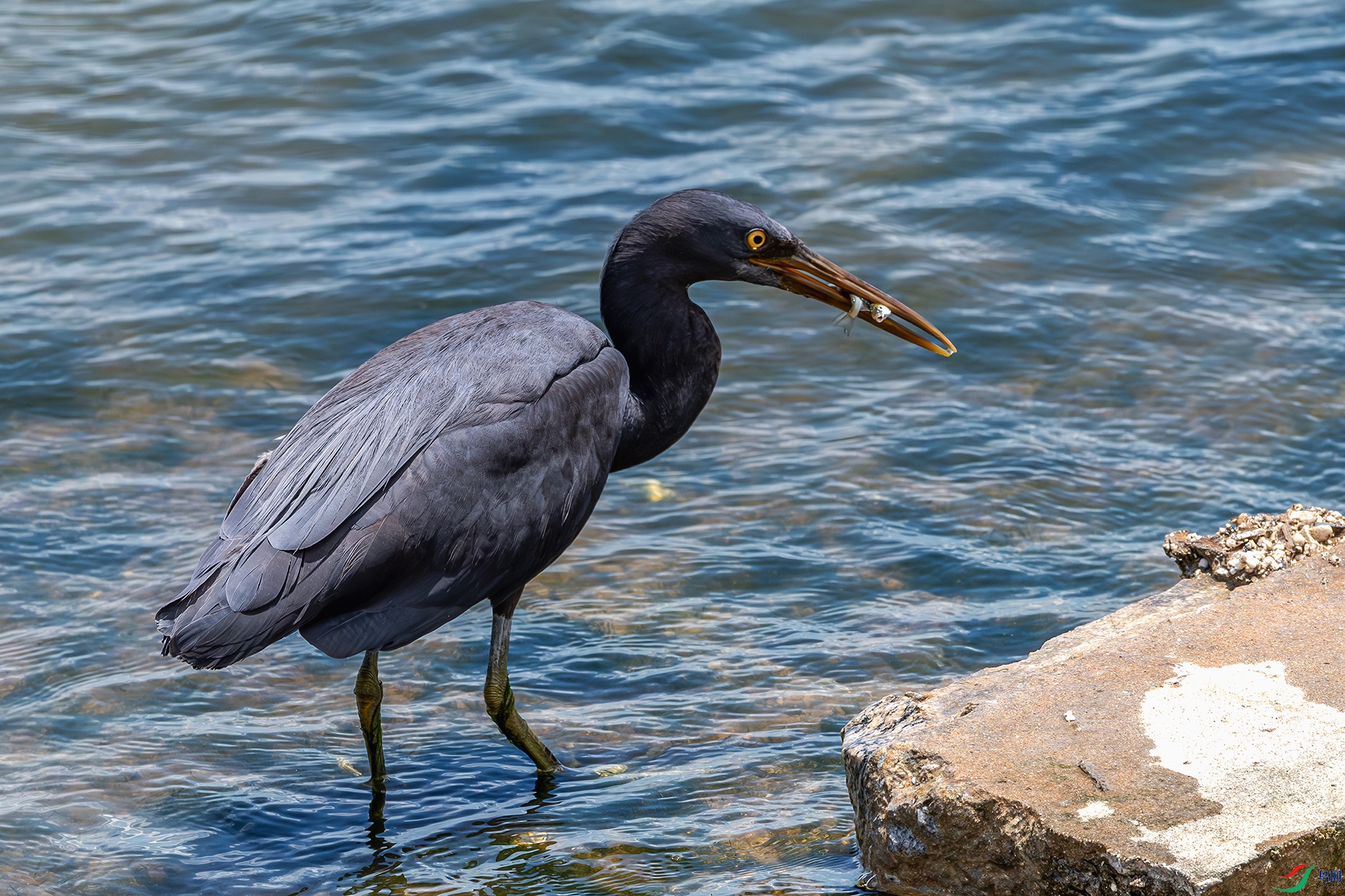 20250803�ջ��β .jpg