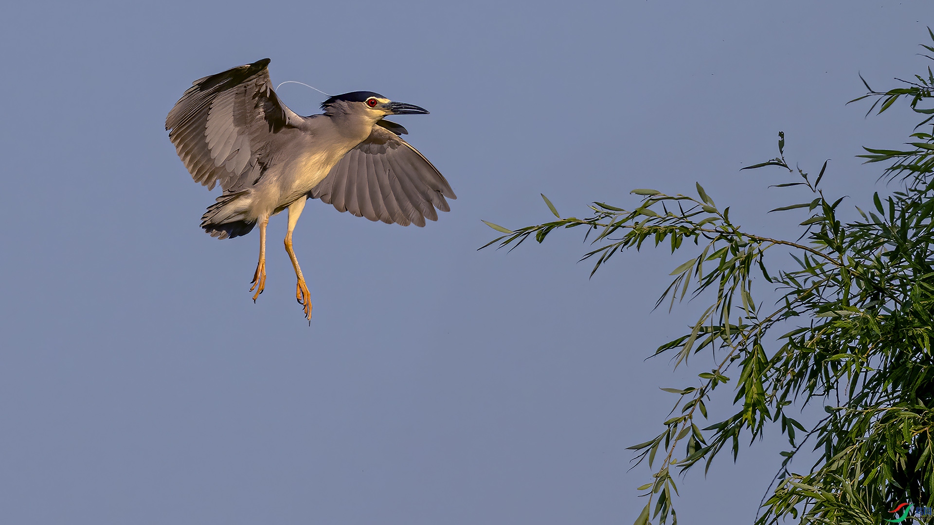 DSC_1076-.jpg