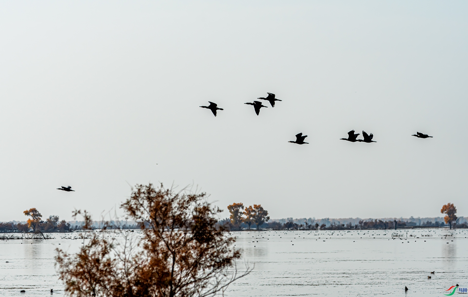 _DSC3332-11.jpg