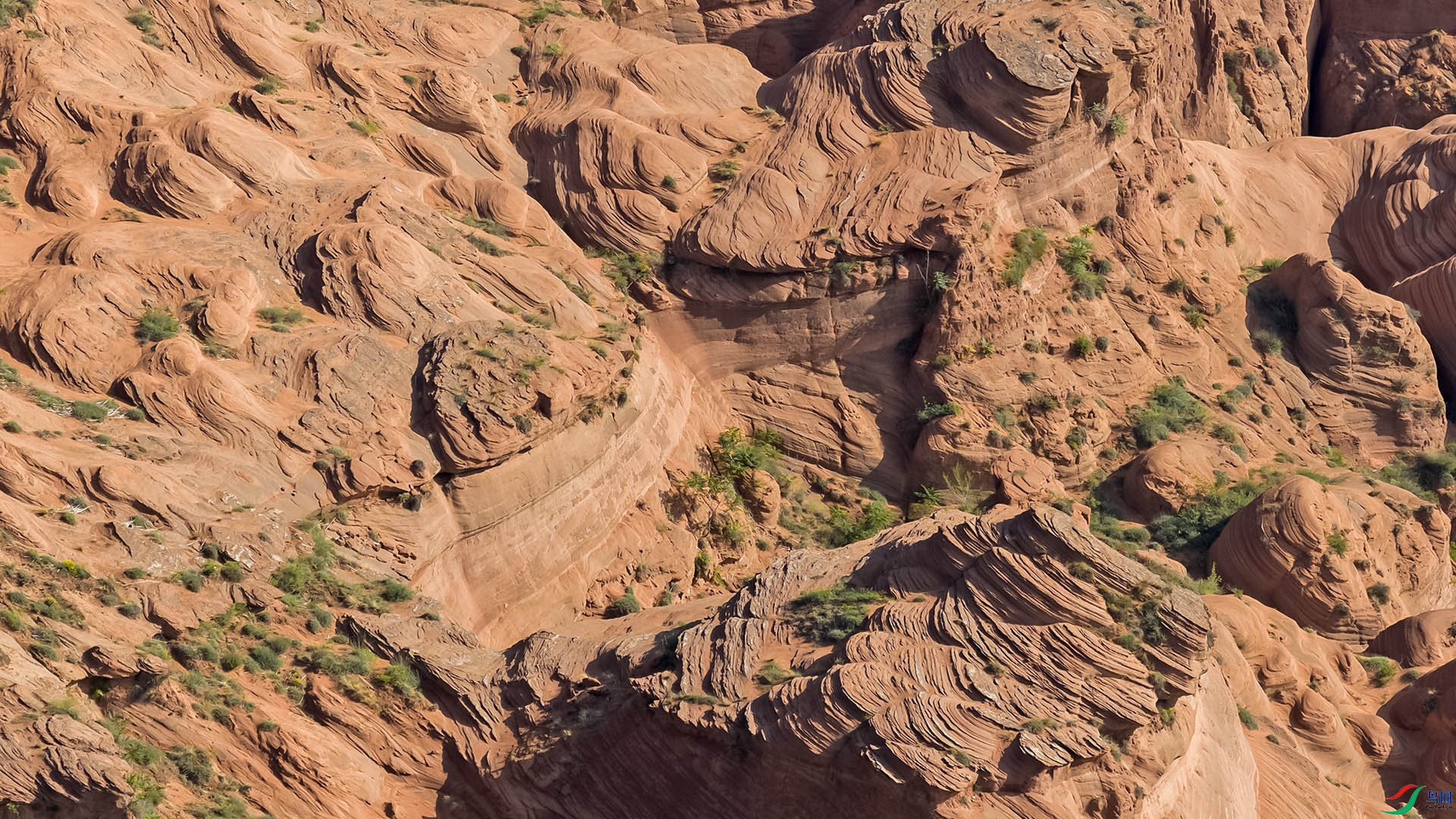 DJI_20250705081101_0028_D ����.jpg