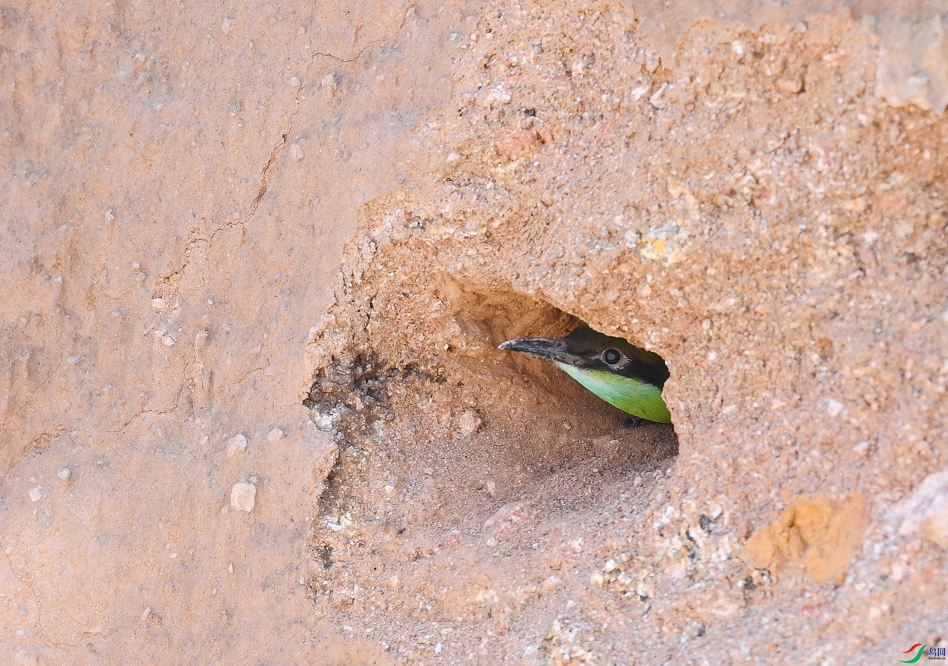 DSC_5447.jpg