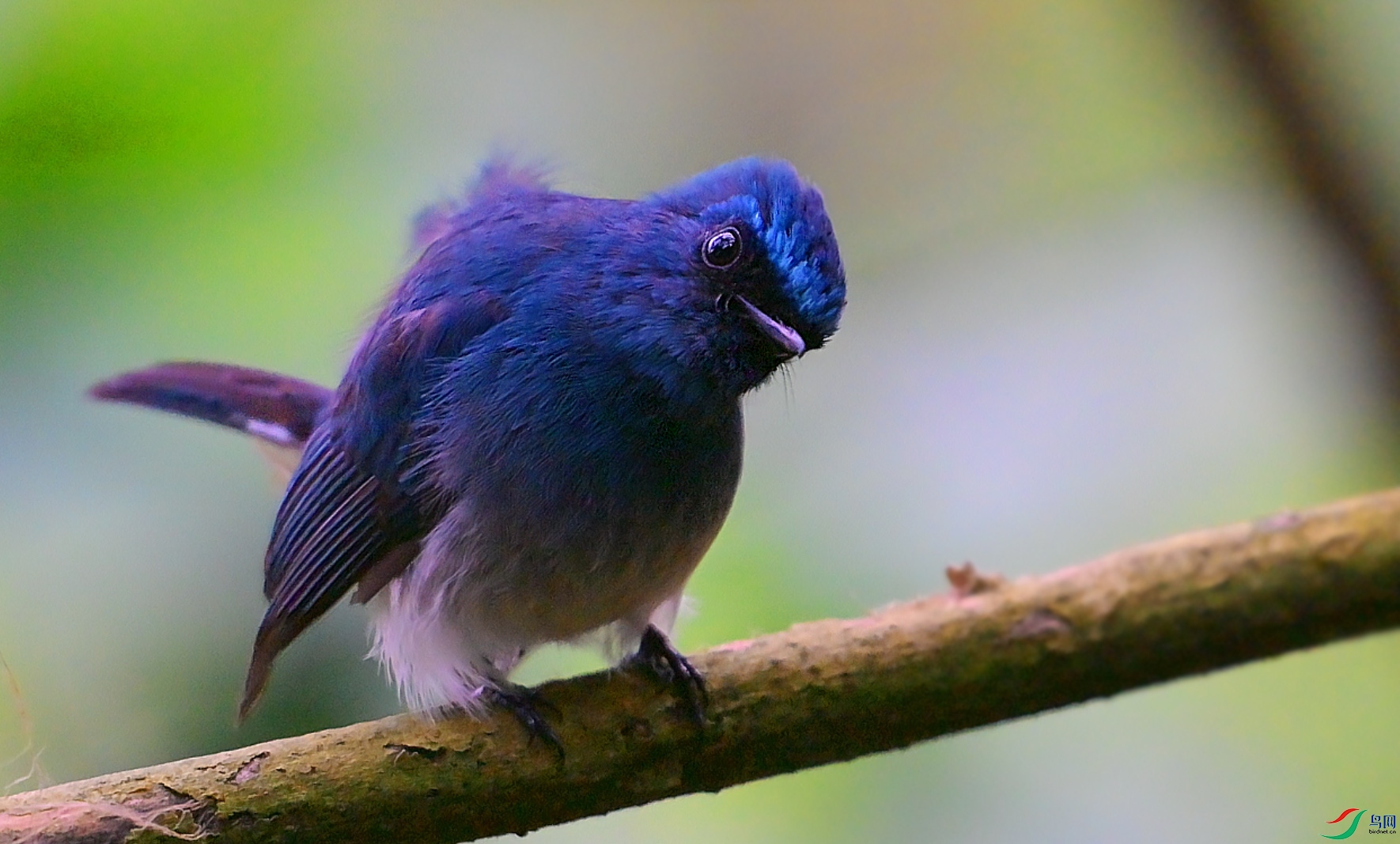 {862C3E9B-0199-4FCF-AB38-F59E2F88606E} ����.jpg