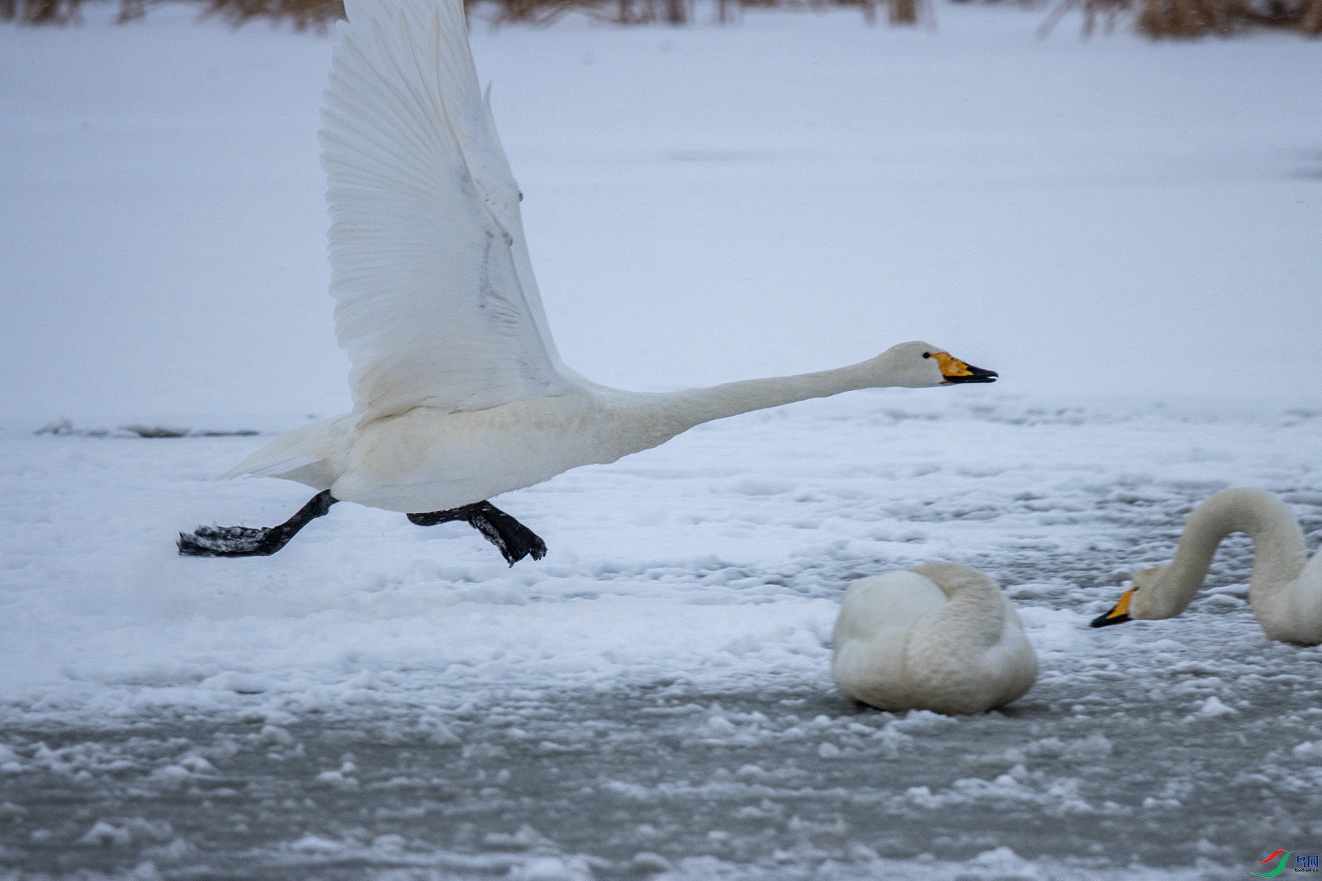 IMG_4011�½�-2 .jpg