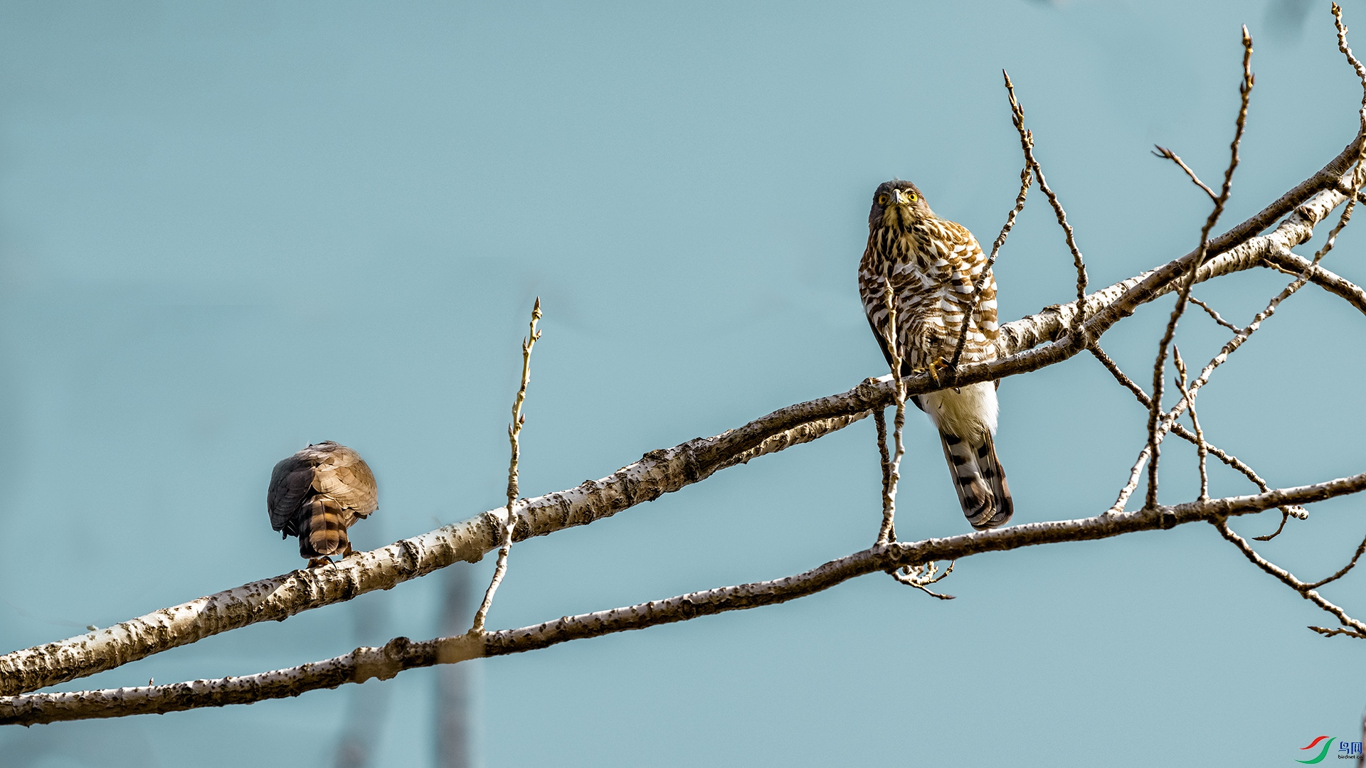 DSC_9353.jpg