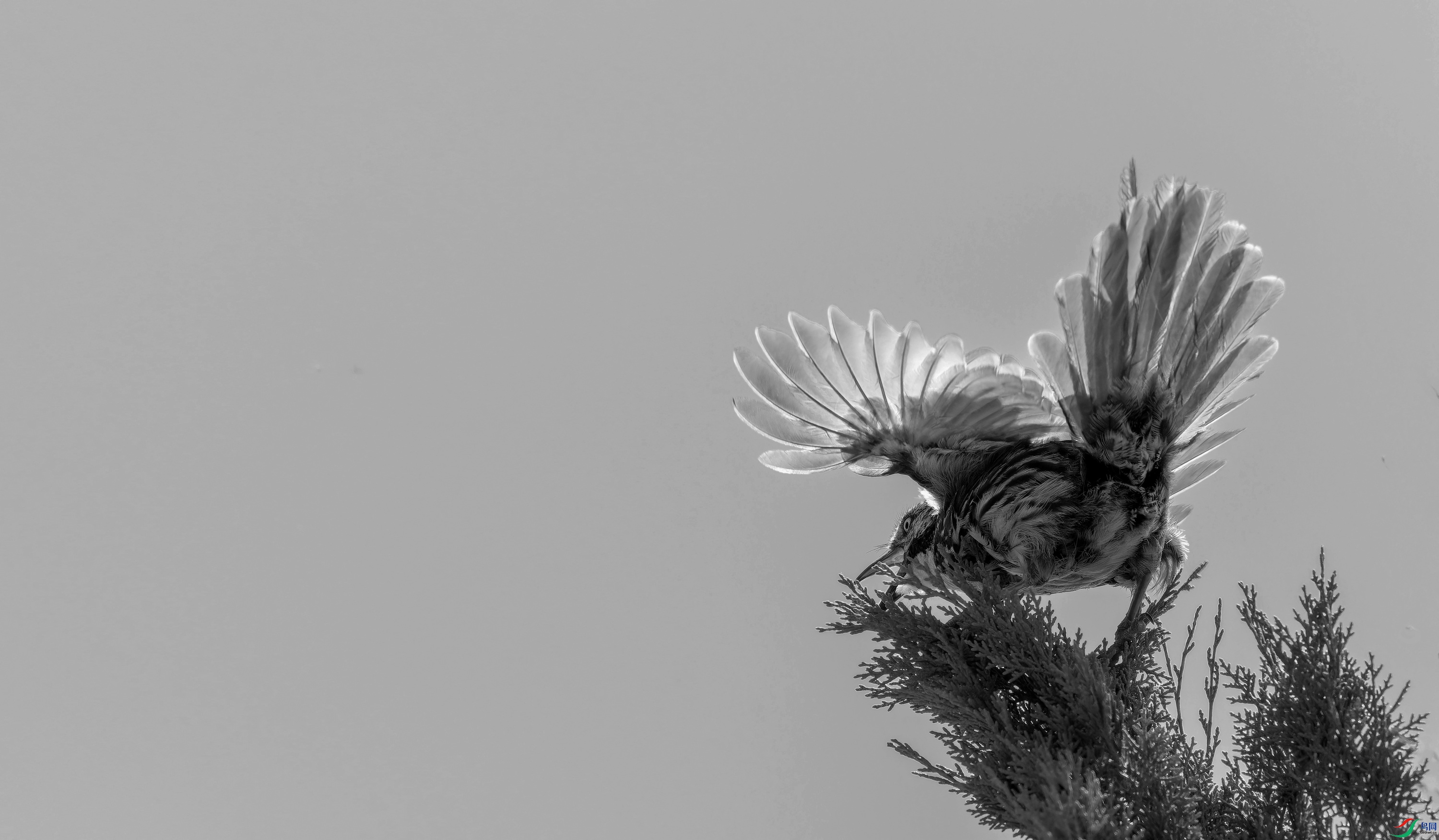 ì�Ʋ��� (15)-01.jpg