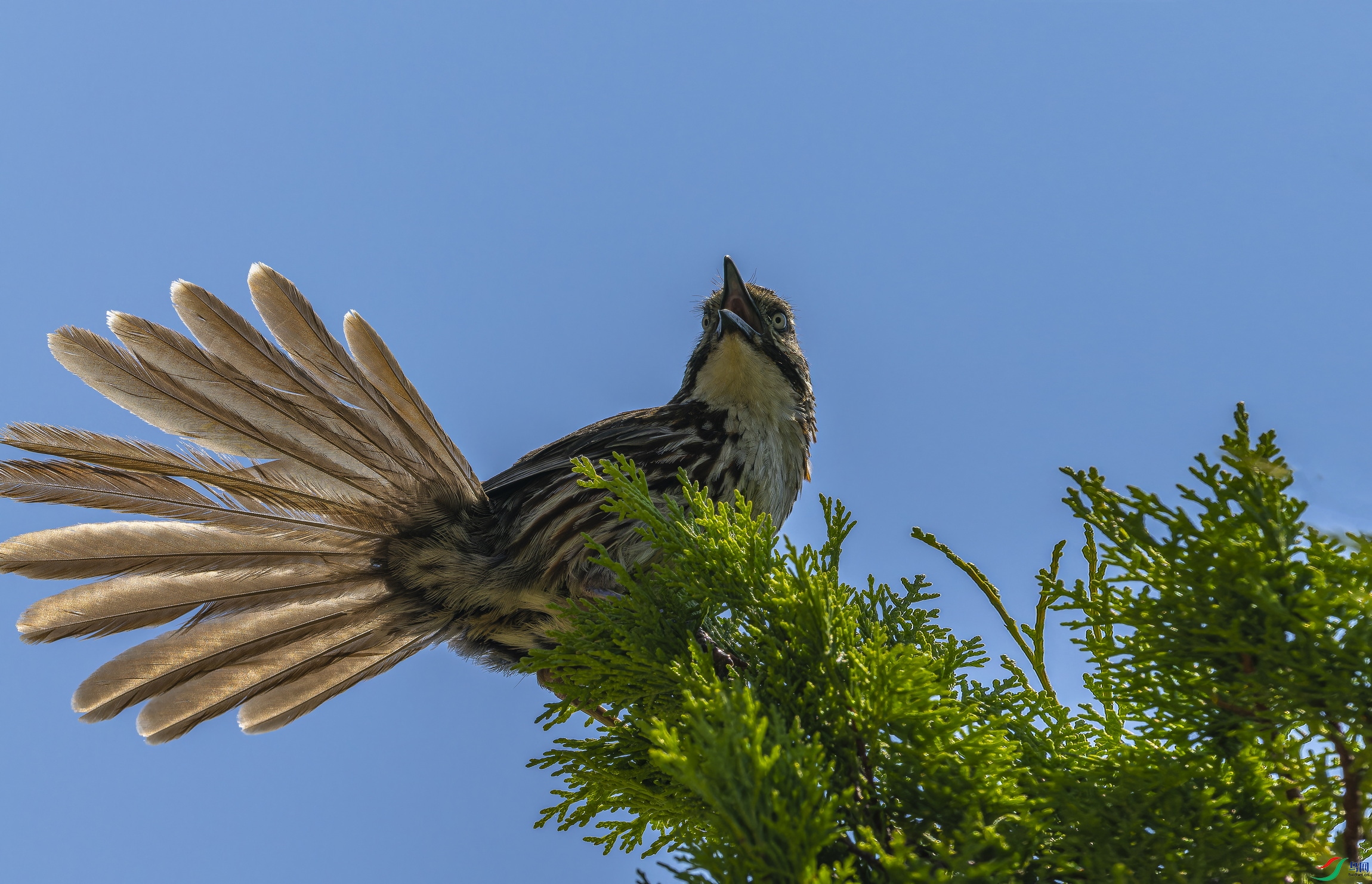 ì�Ʋ��� (1)-1.jpg