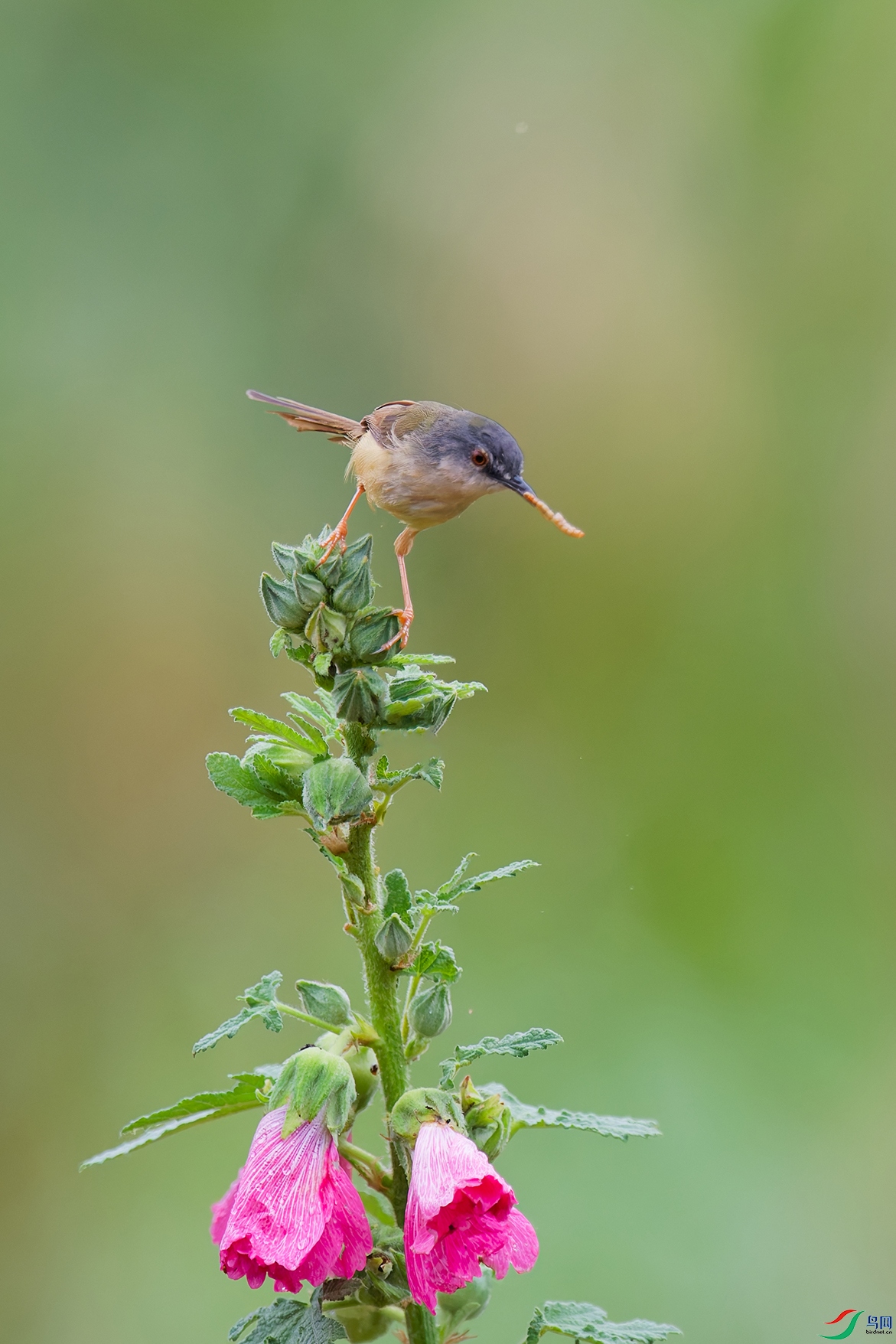 6DSC_7976_DxO_DxOa.jpg