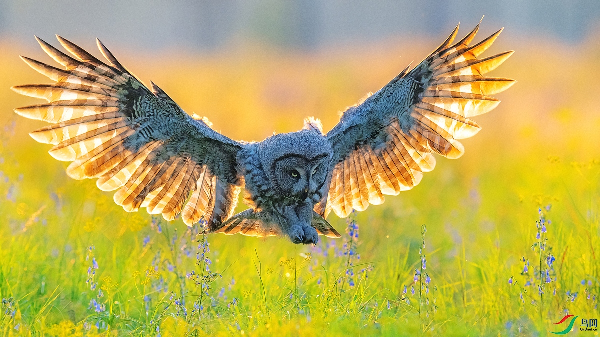 DSC_7320 ���� 2.jpg