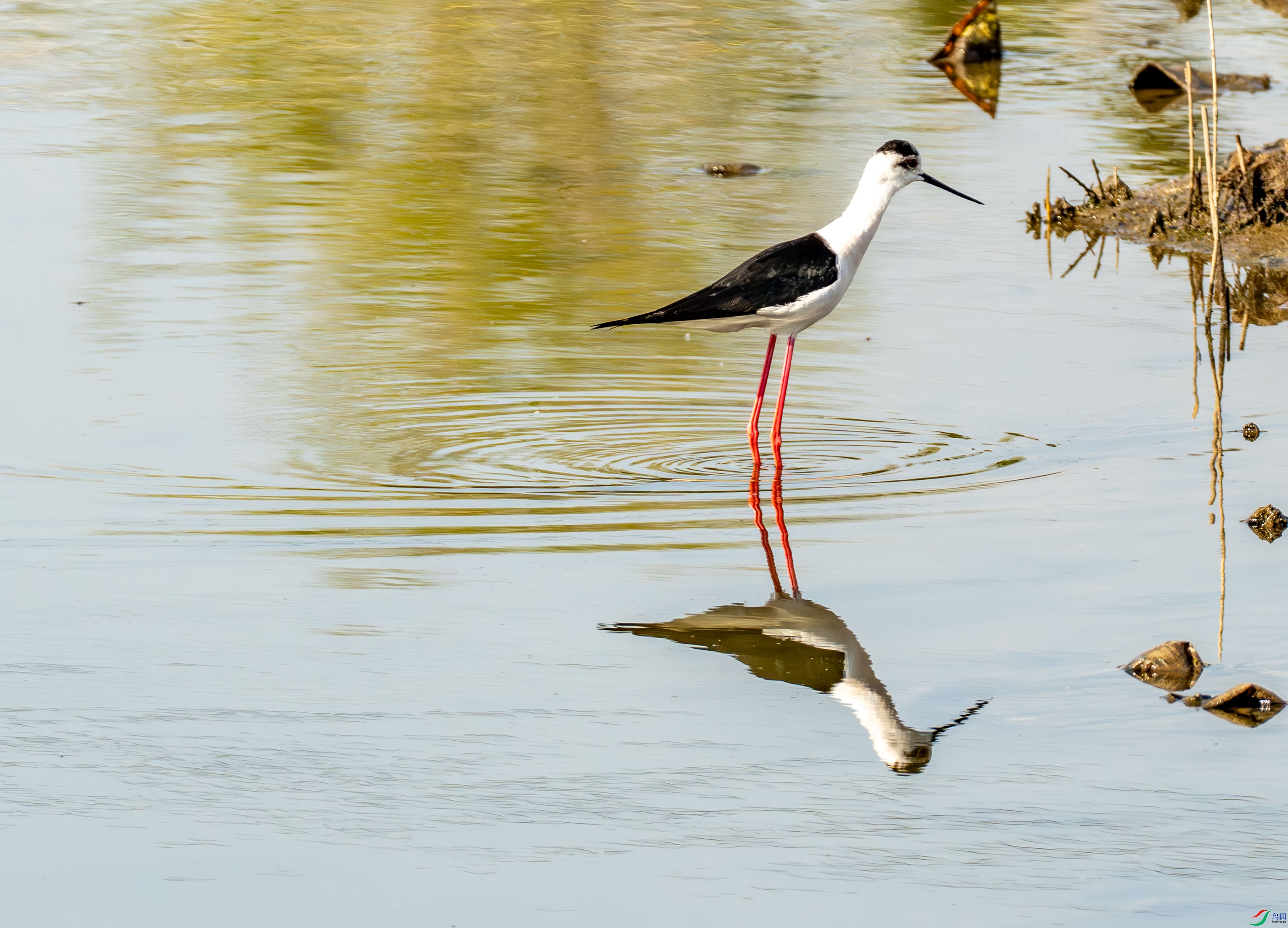 �ڳ᳤���� (5 - 21).jpg