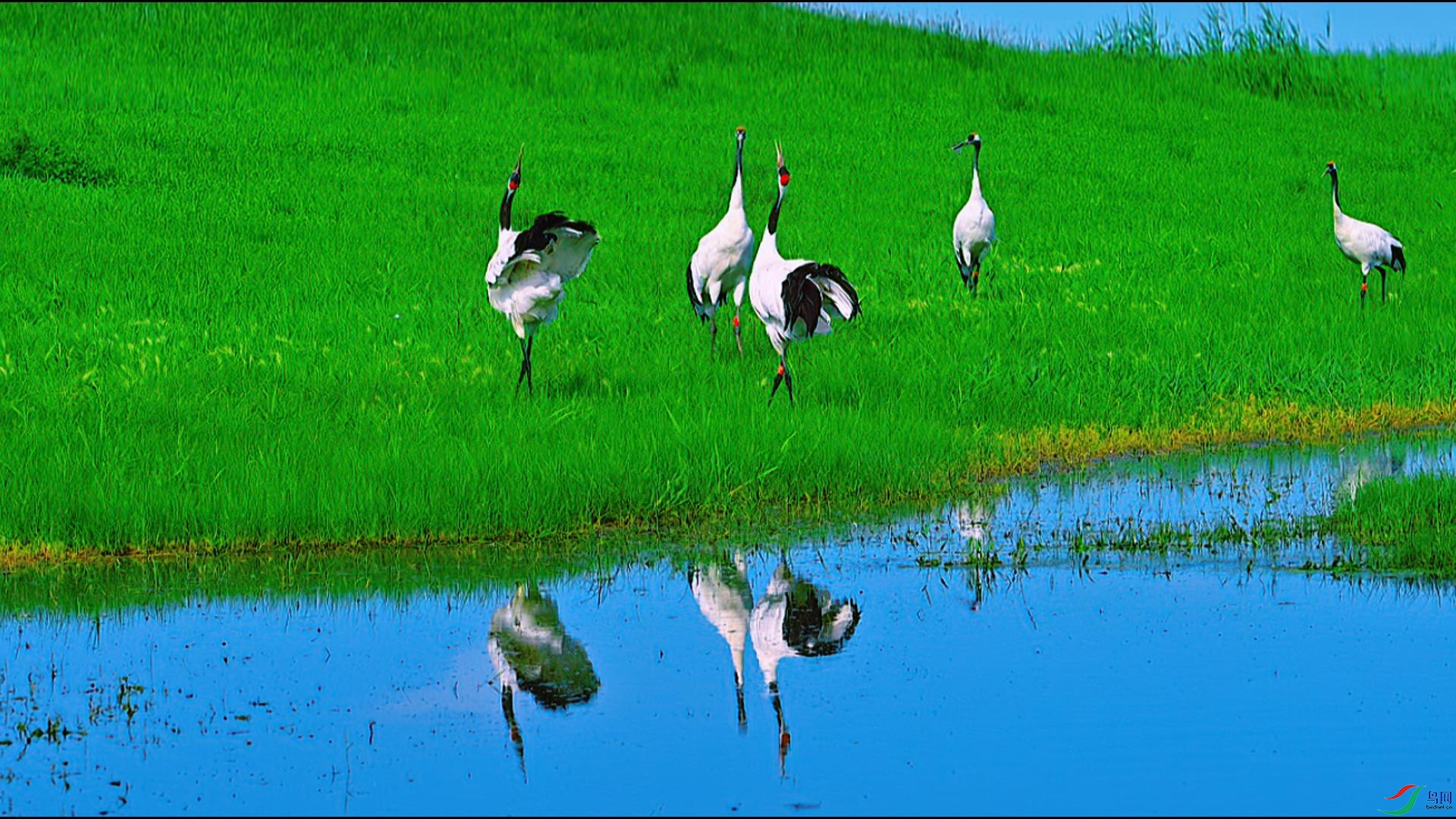 ����Բ����