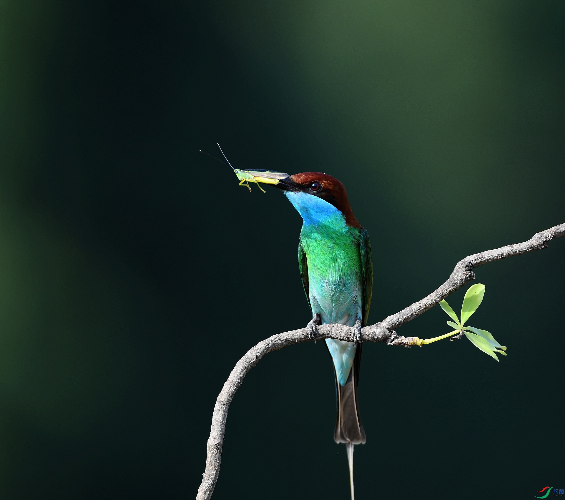DSC_5607.jpg