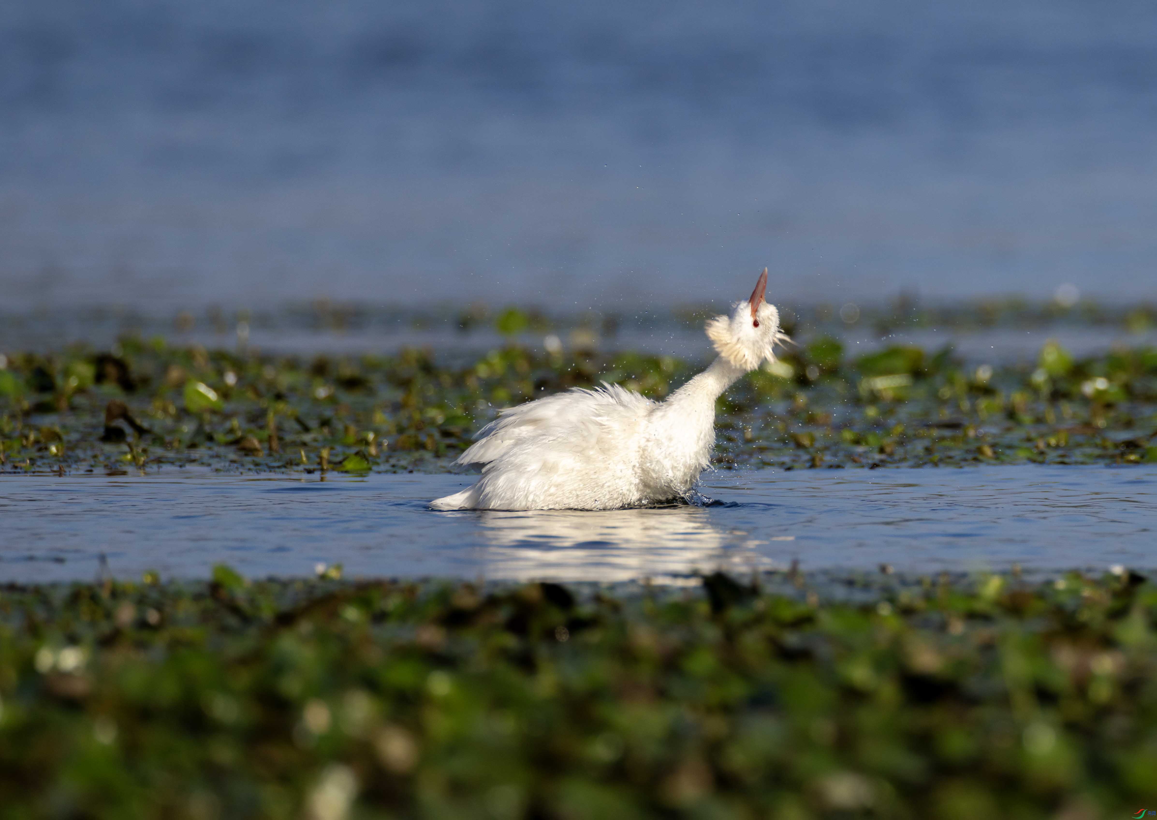 1-xt4L2A6856 ����.jpg