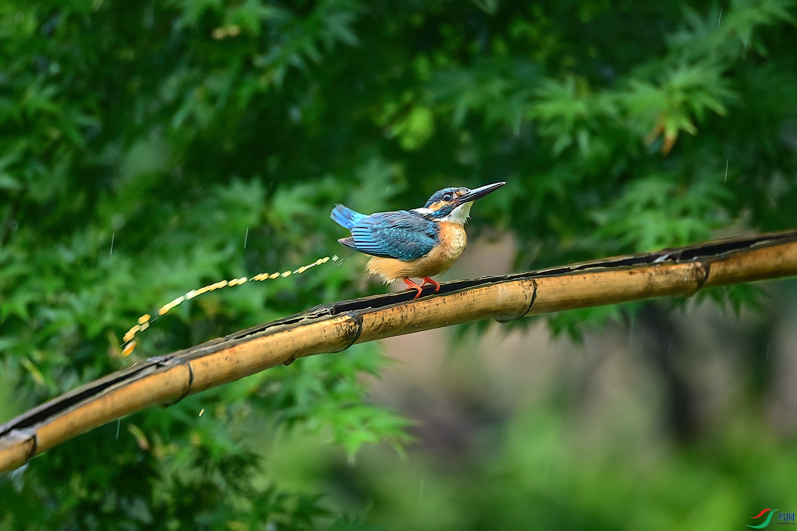 DSC_9233.JPG