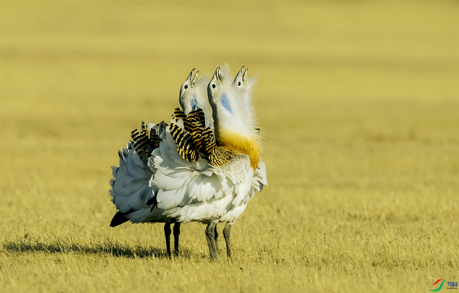 IMG_2291�� (2).jpg