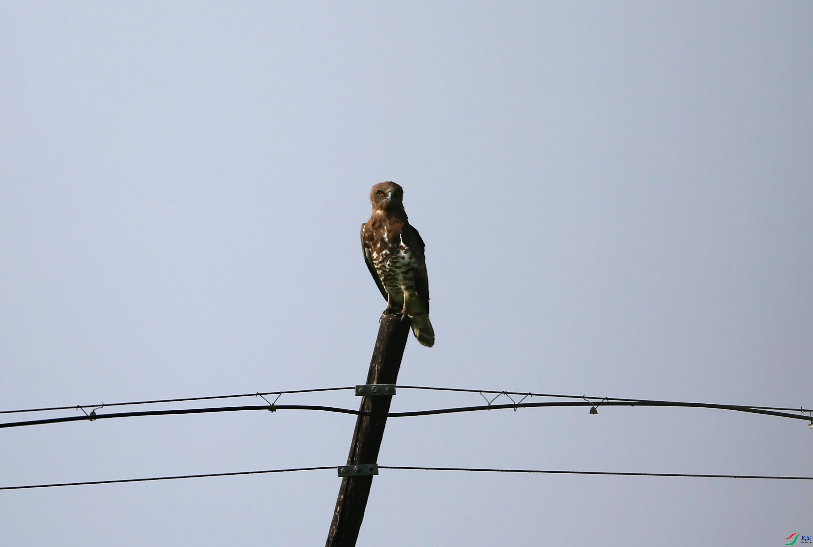 ��ֺ�� (13).JPG