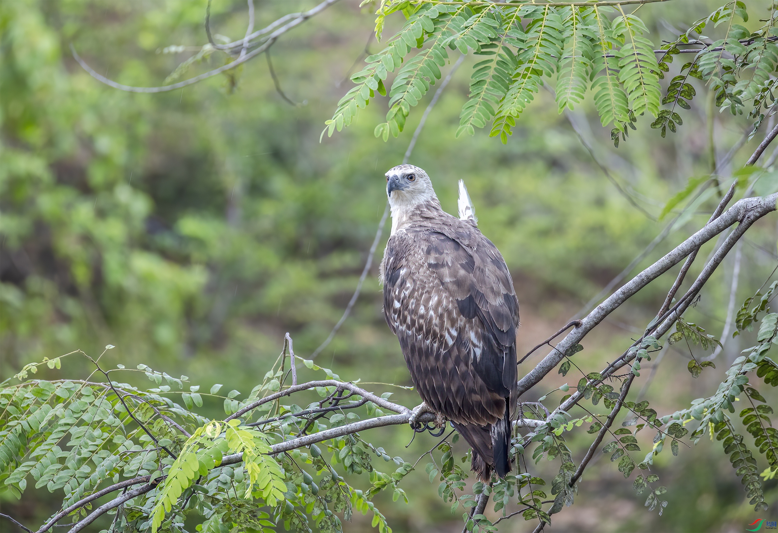 CB0A1206 ����.jpg