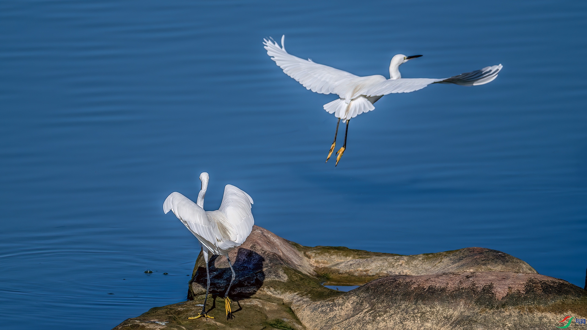 DSC_1524-����ǿ-NR.jpg