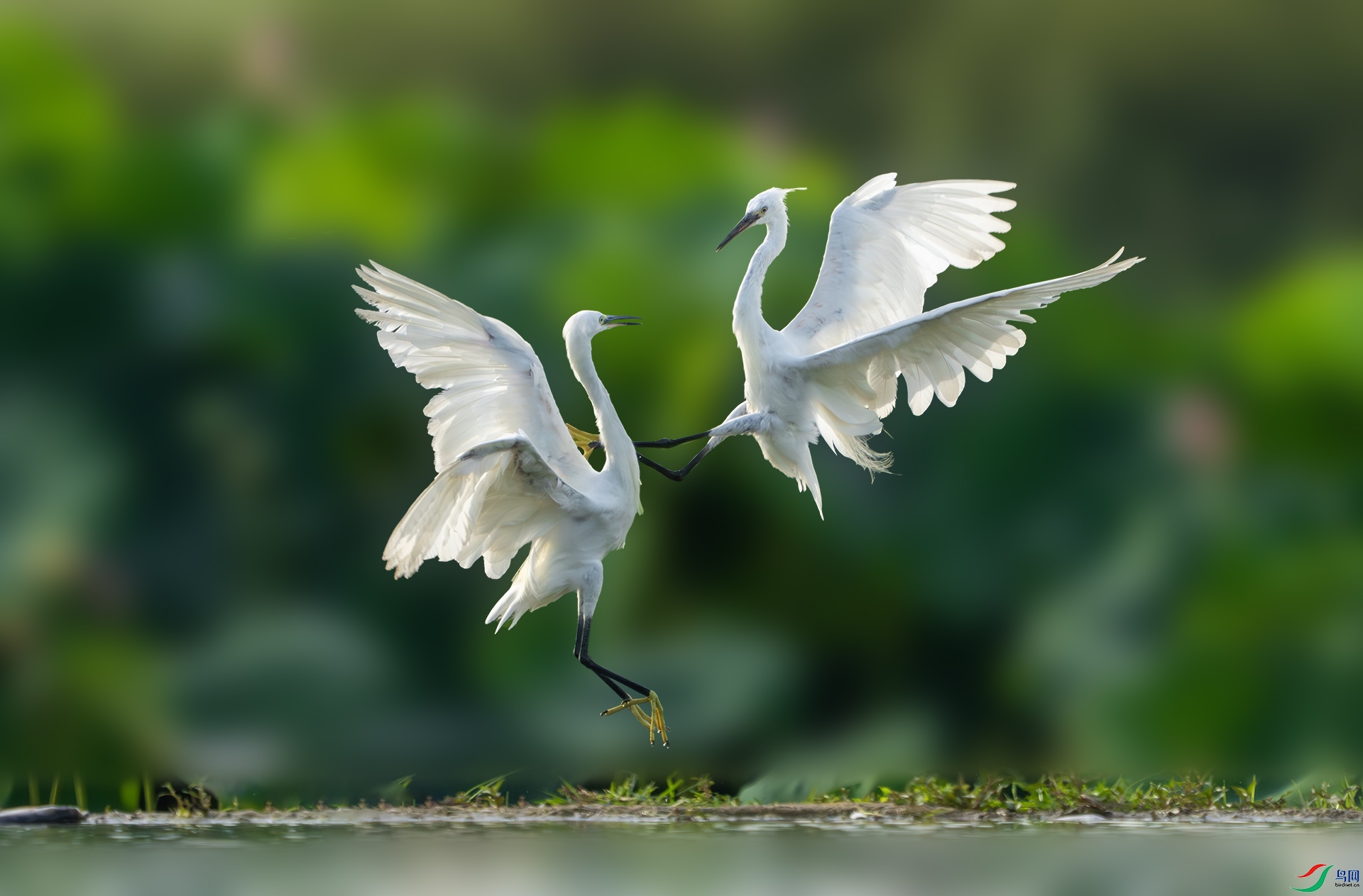 DSC05914-����ǿ-NR ����.jpg