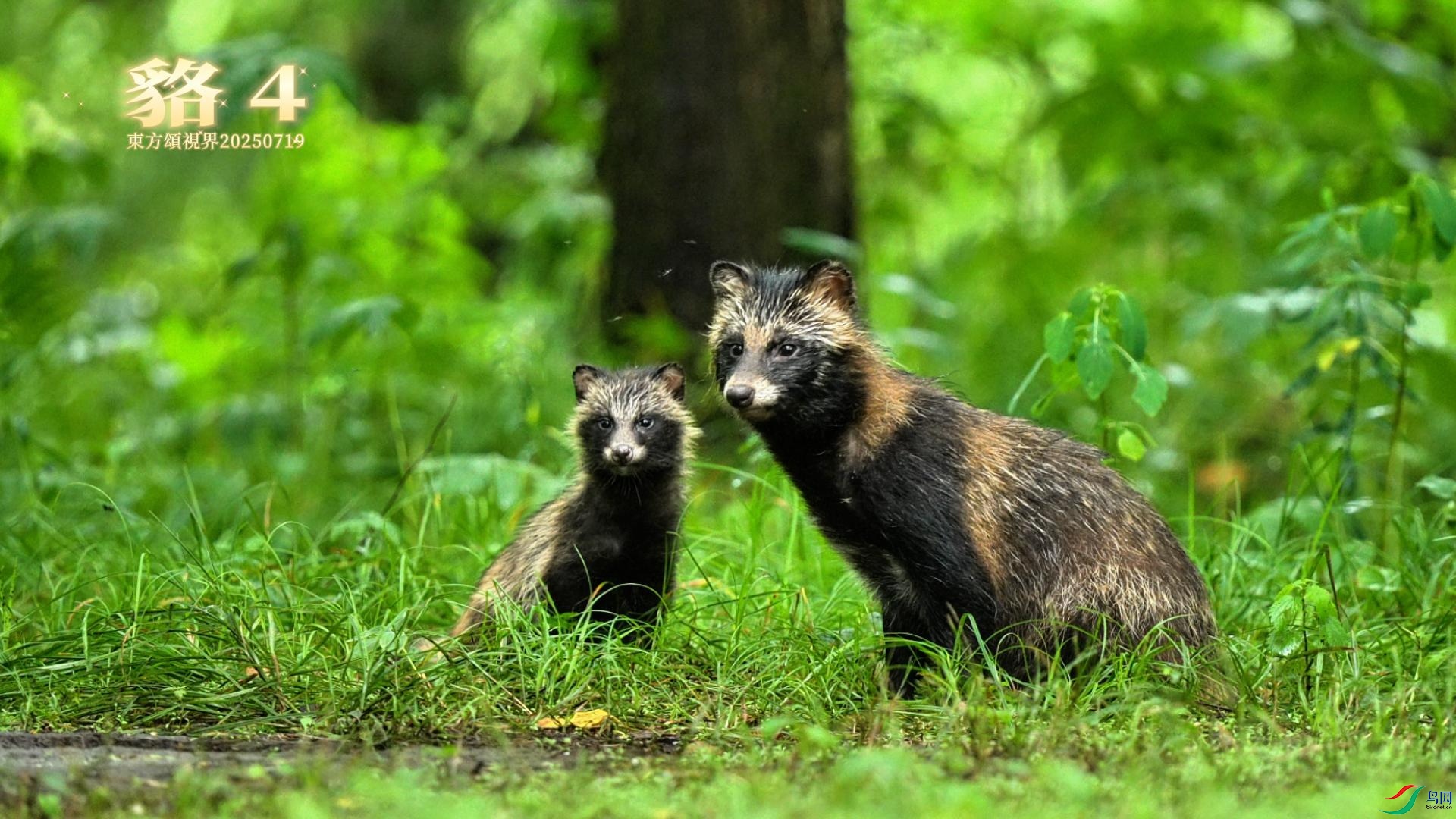 7��25�� ��4-����.jpg