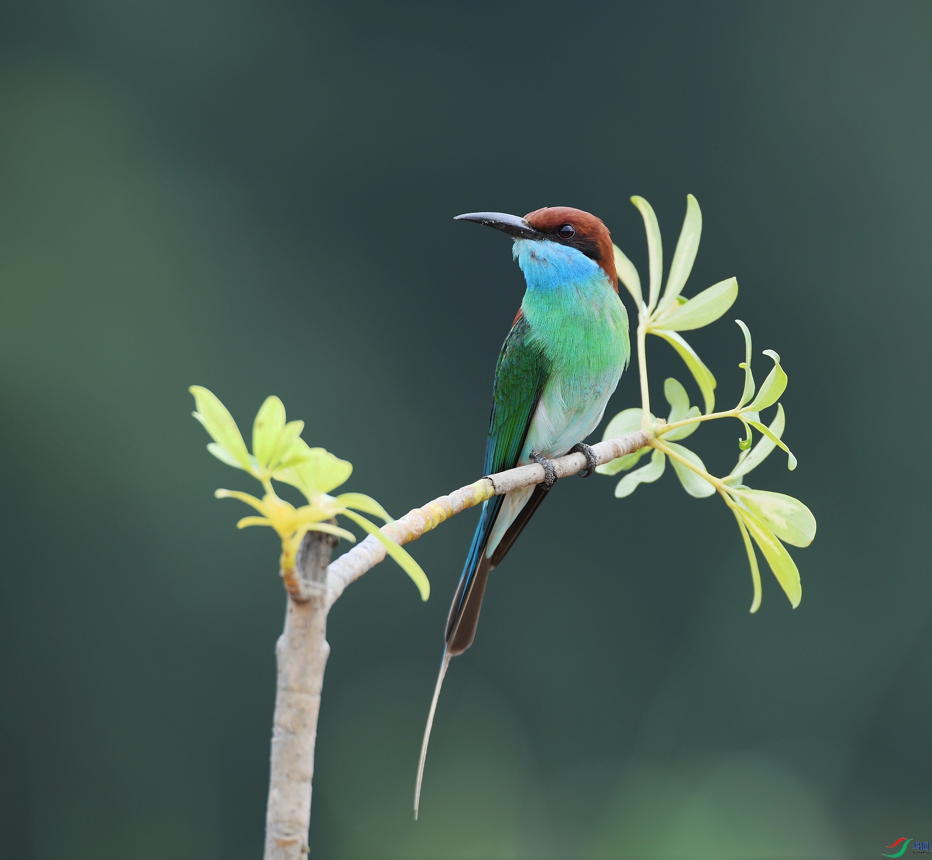 DSC_0207.jpg
