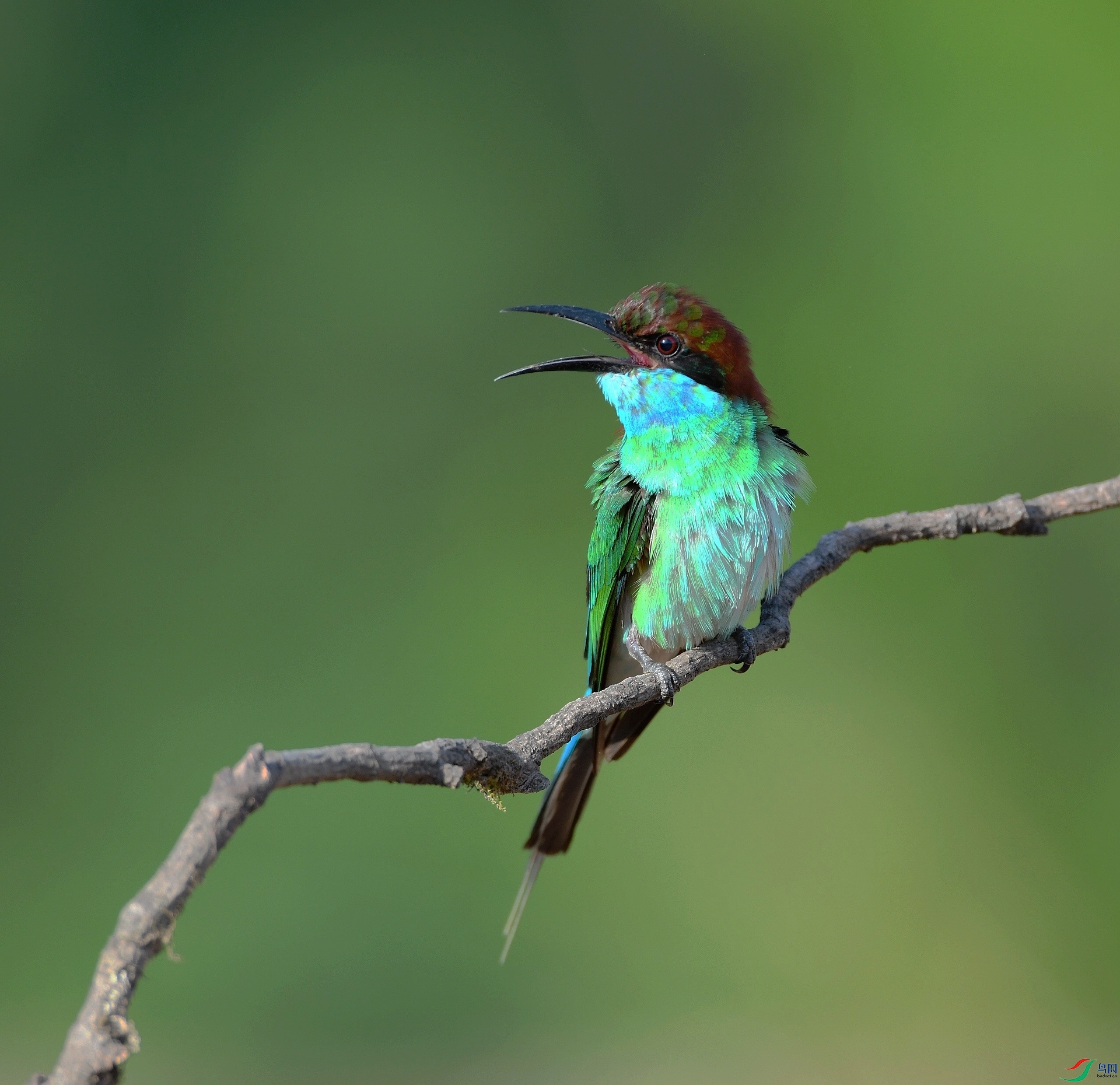 DSC_6826.jpg