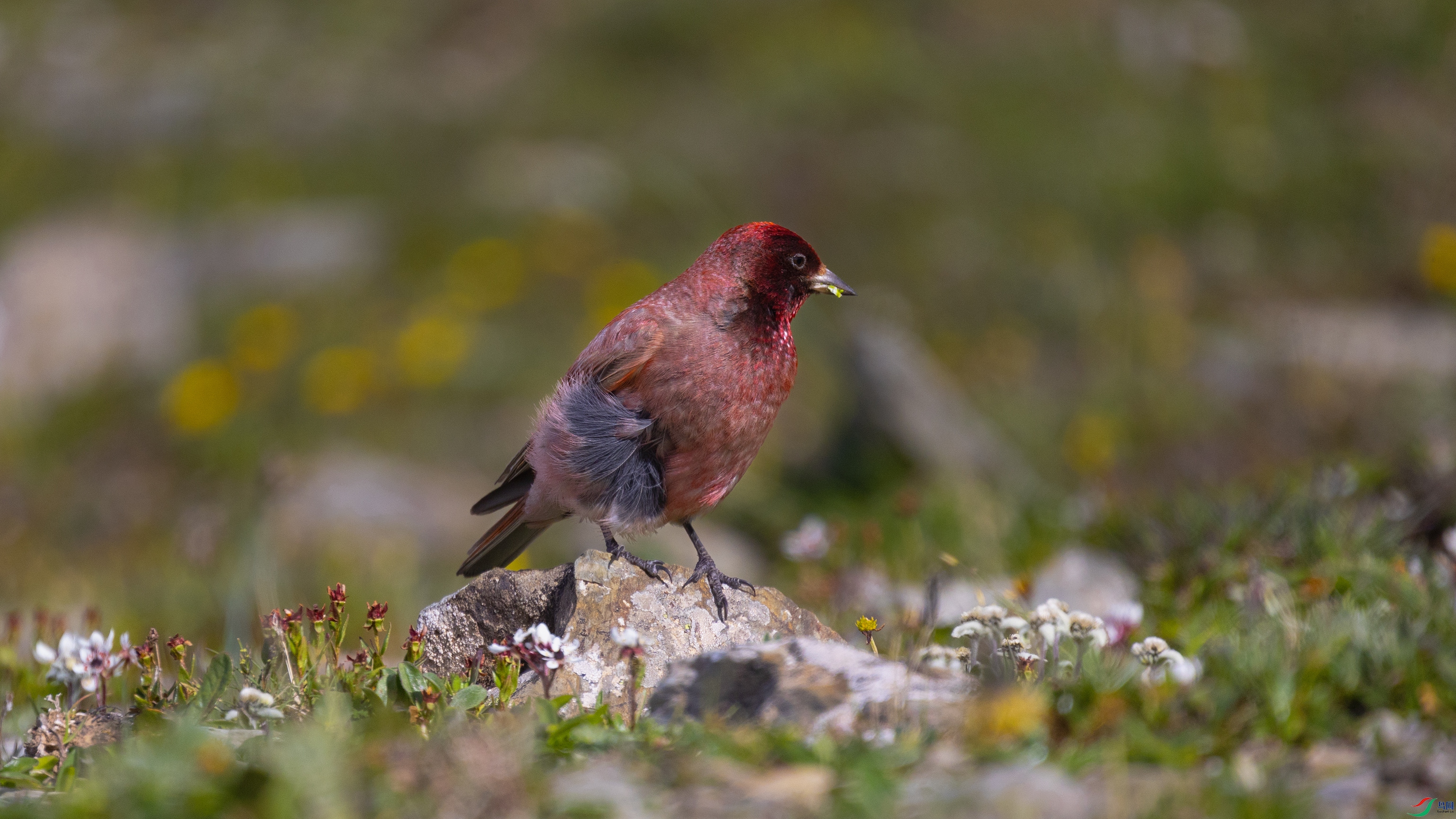 7X5A6661 ����4444.jpg