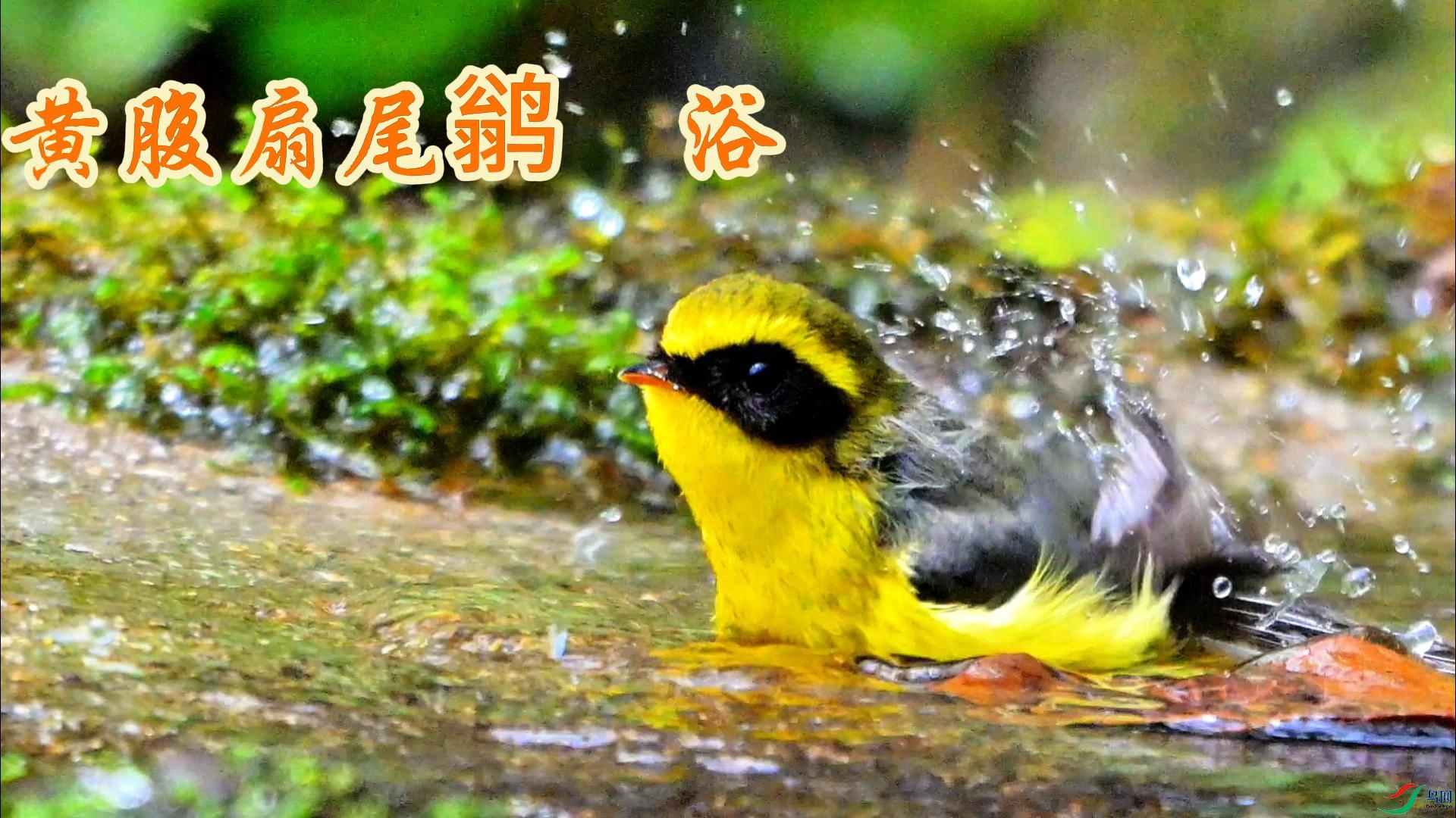 �Ƹ���β�l  ϴԡ-����.jpg
