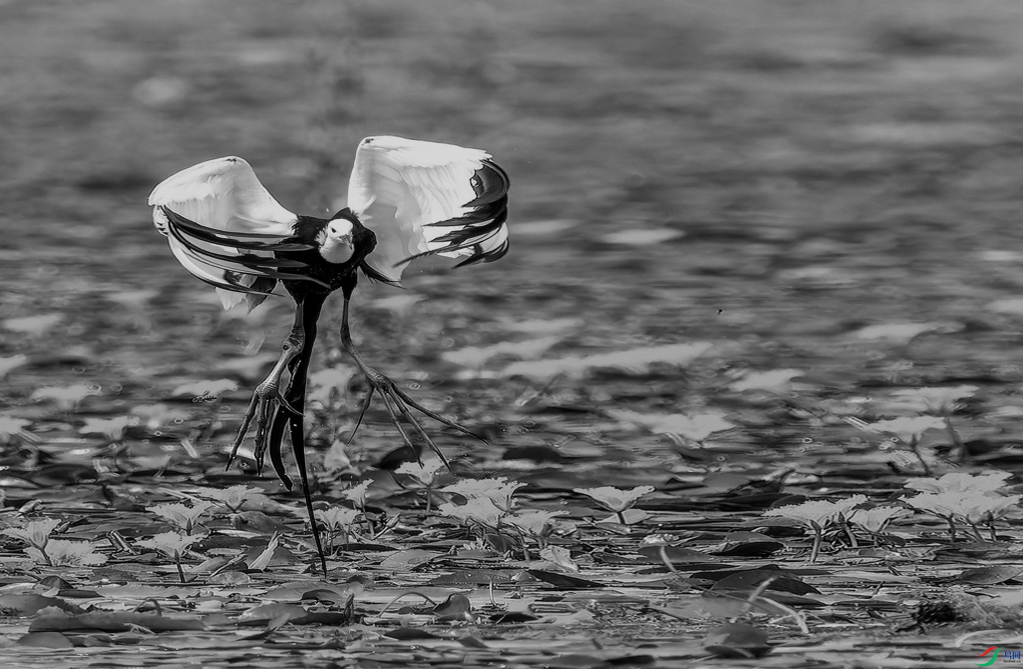 ˮ��-18 (15)-3.jpg