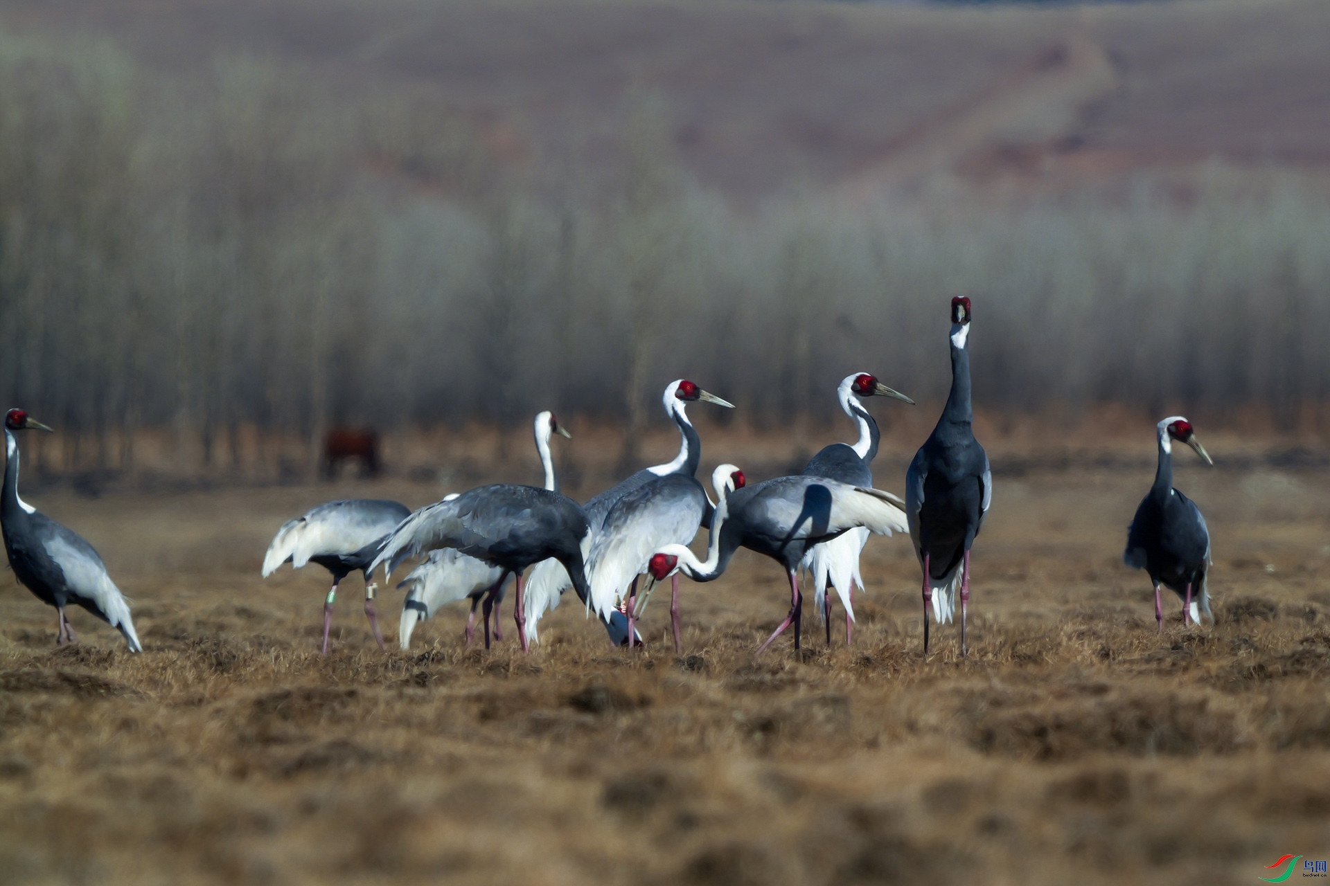 P1001754 ����...jpg