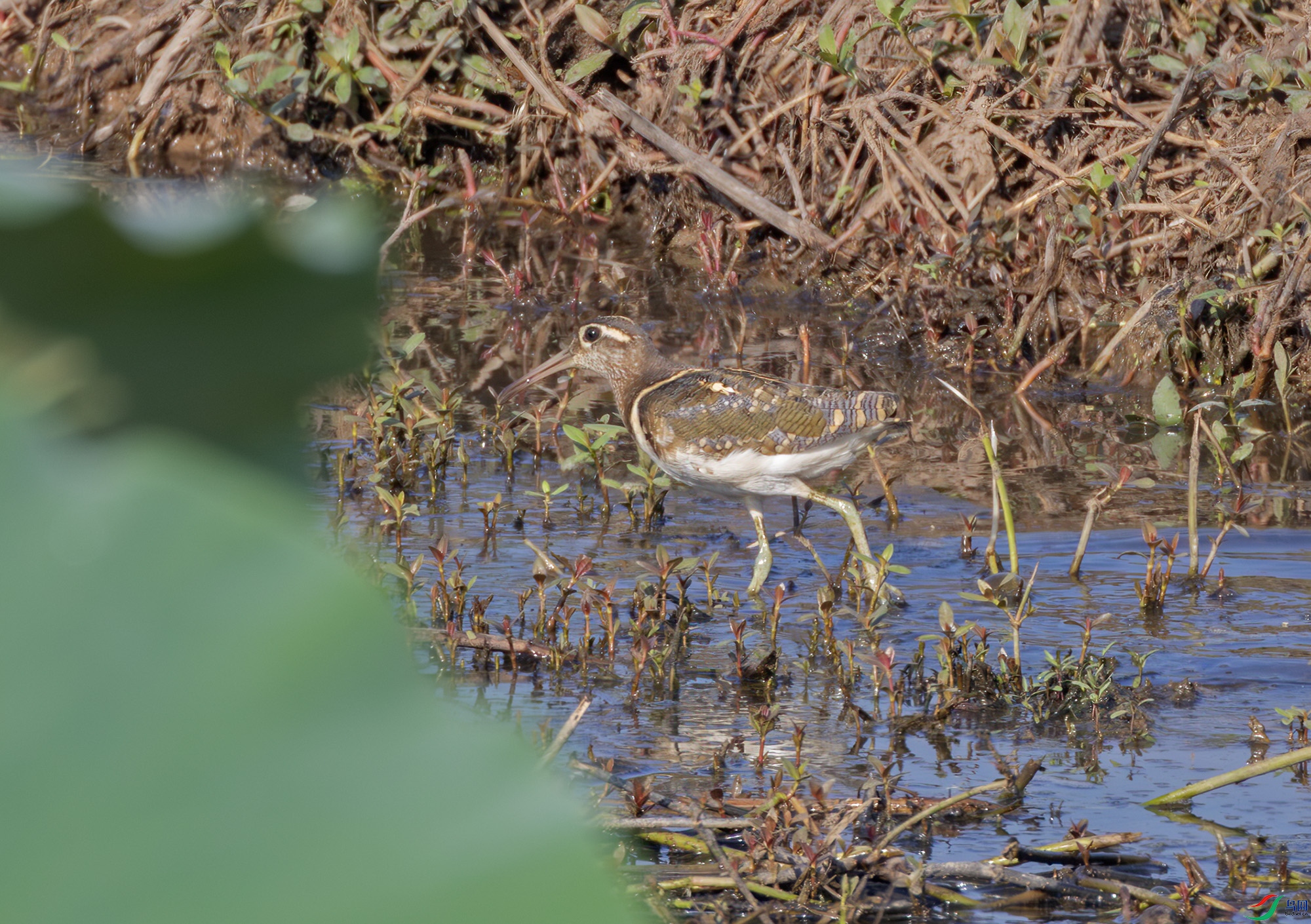 2I1A4371-����ǿ-NR ����.jpg