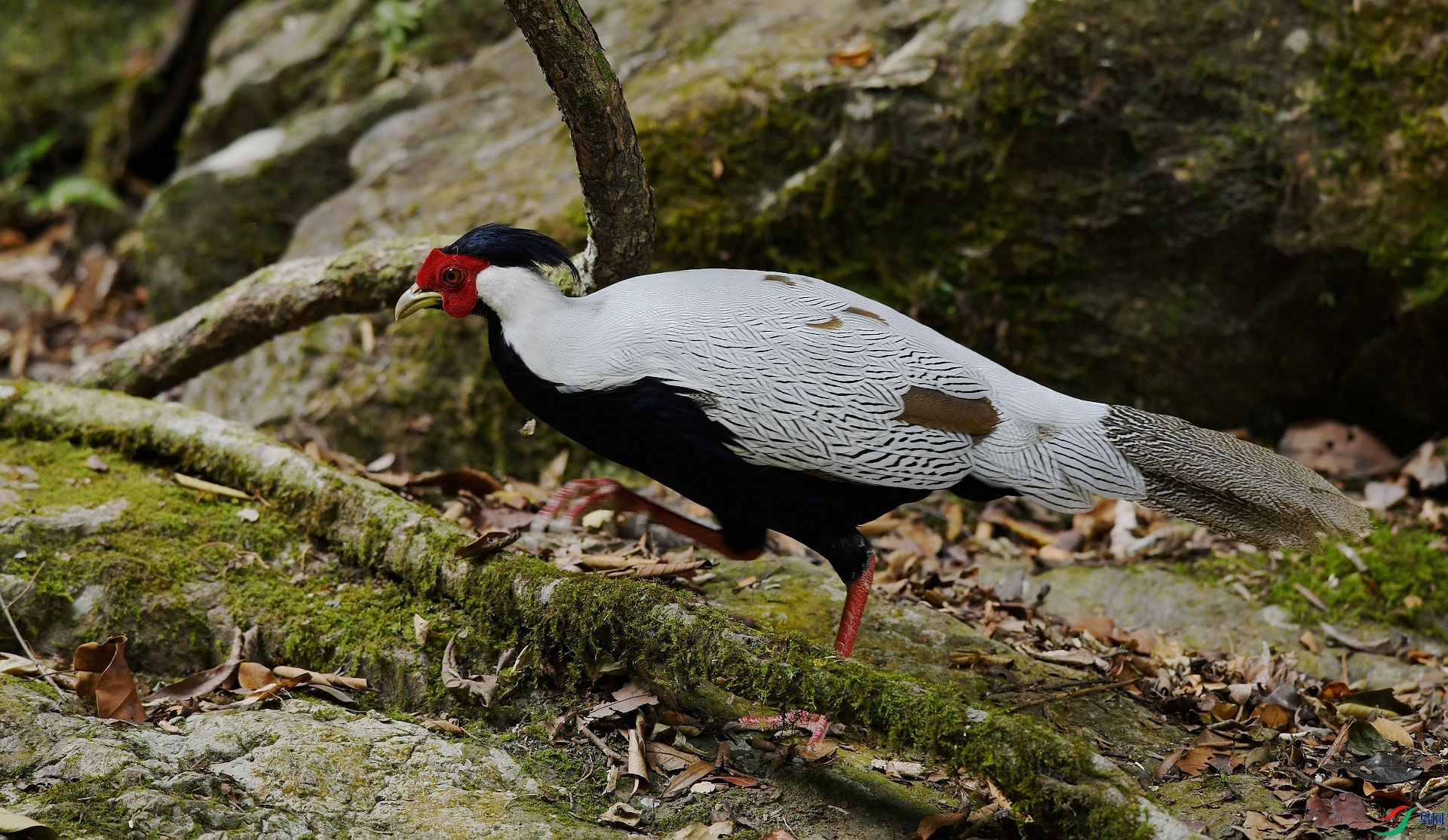 DSC_9162.jpg