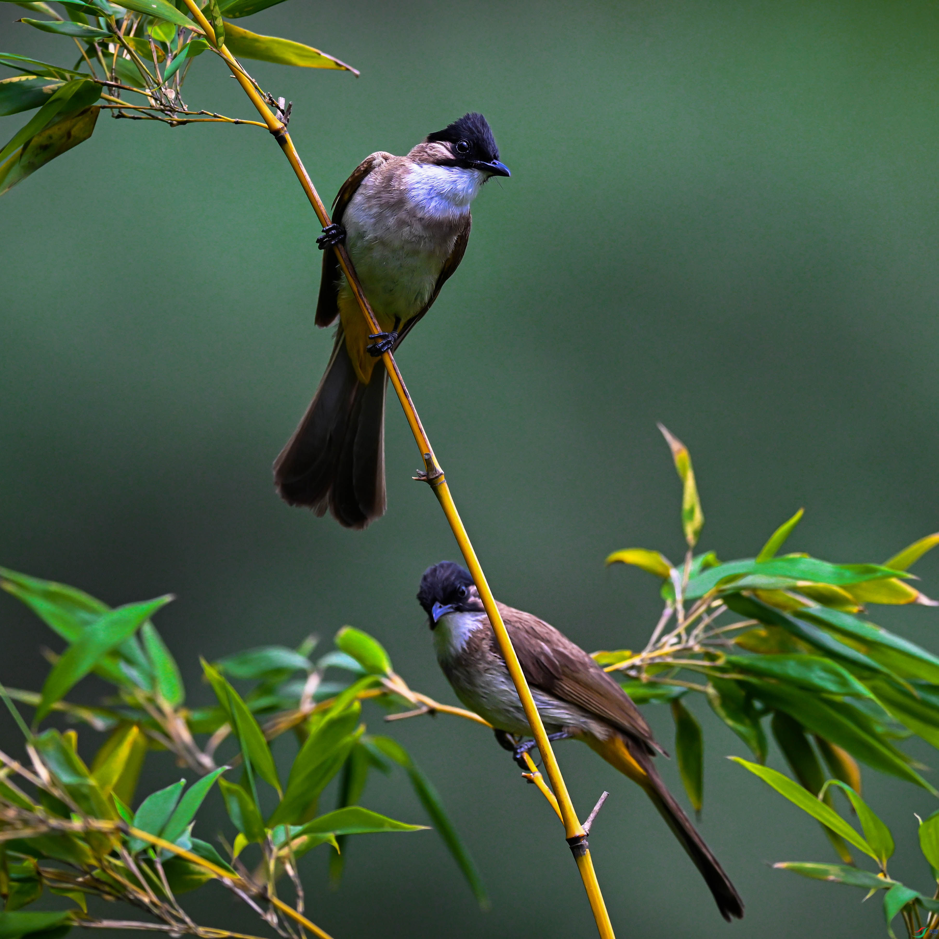 DSC_6618.jpg