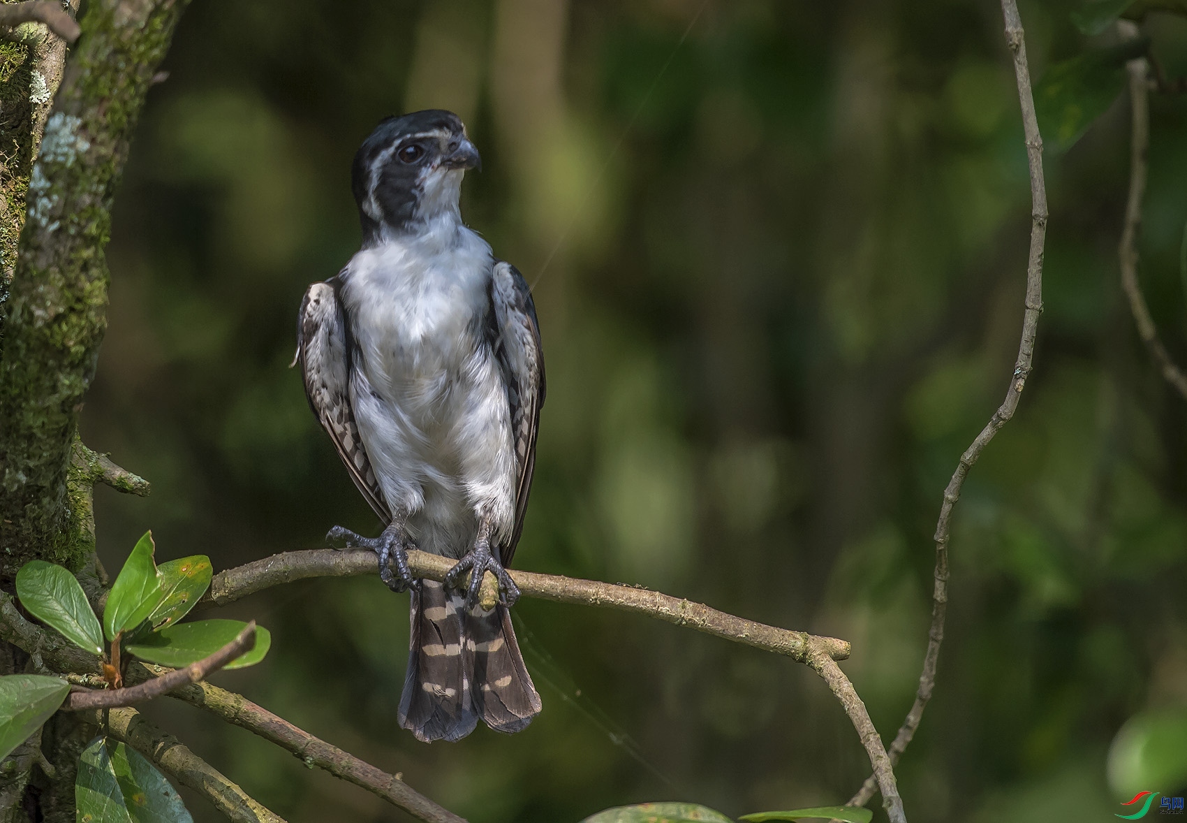 DSC_2381.jpg