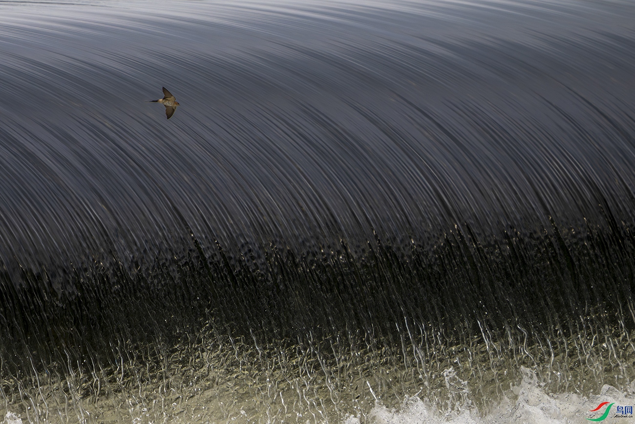 _DSC3581 ���� �� ���� 1300.jpg