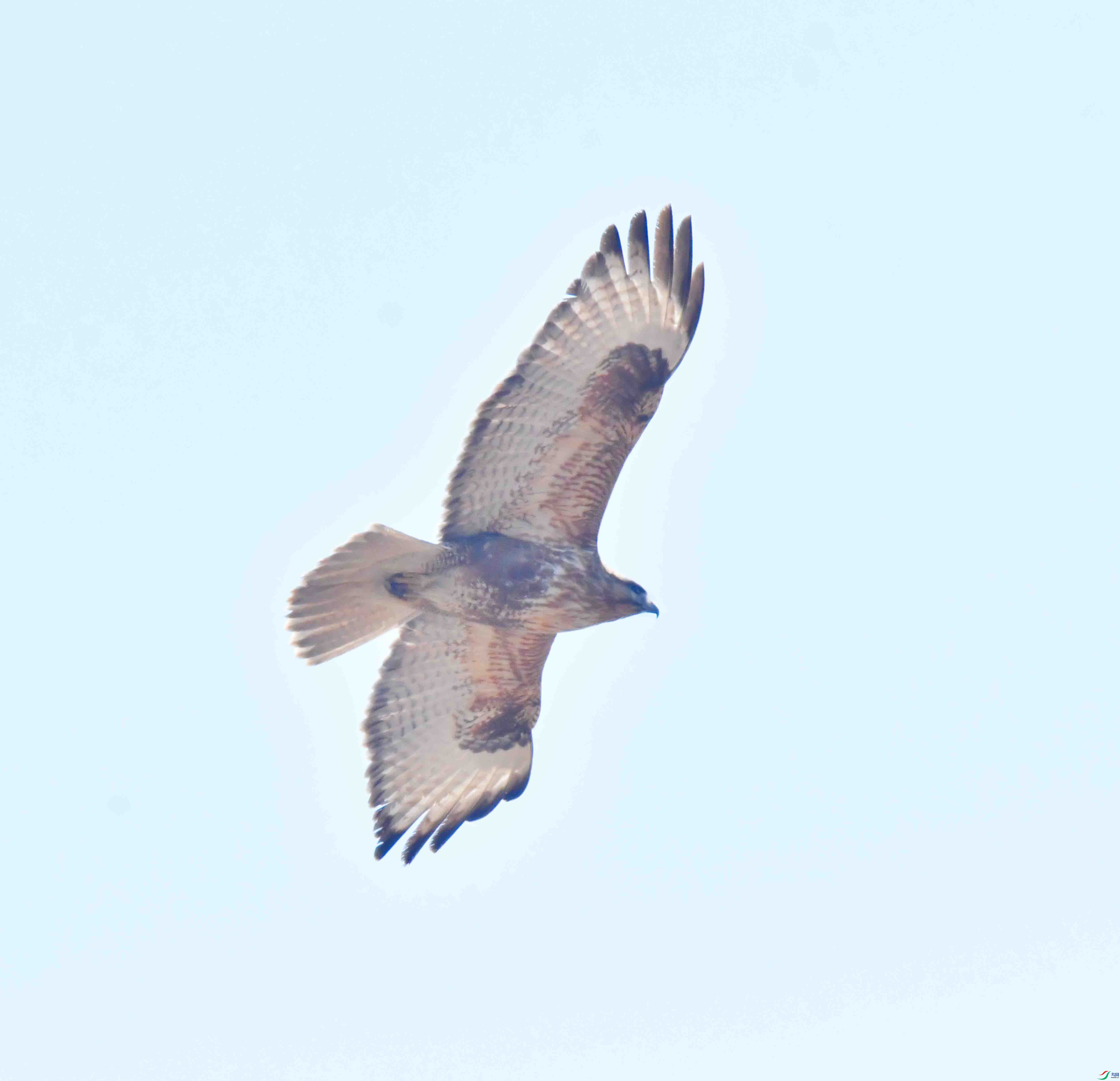 DSC_0967.JPG