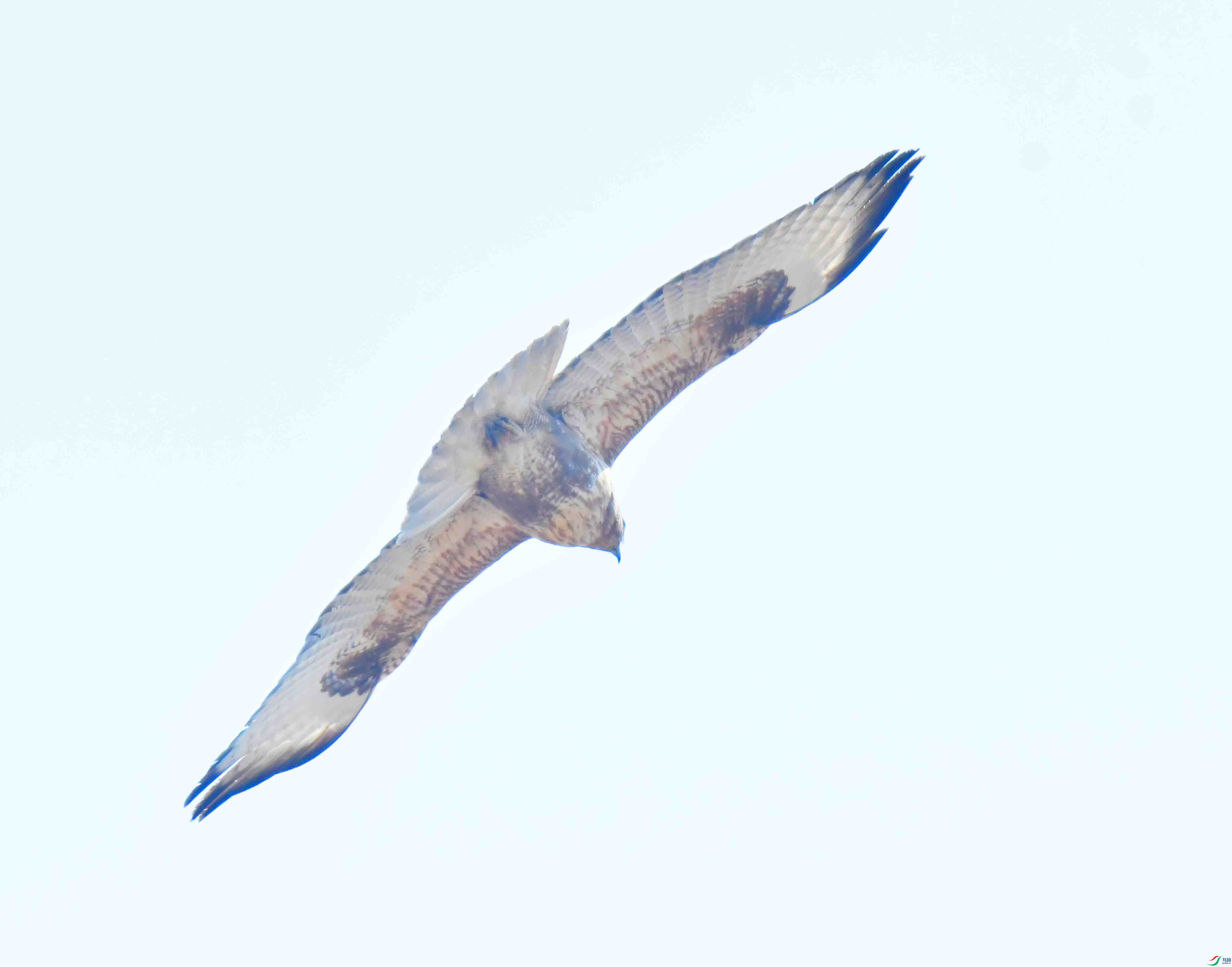 DSC_0969.JPG