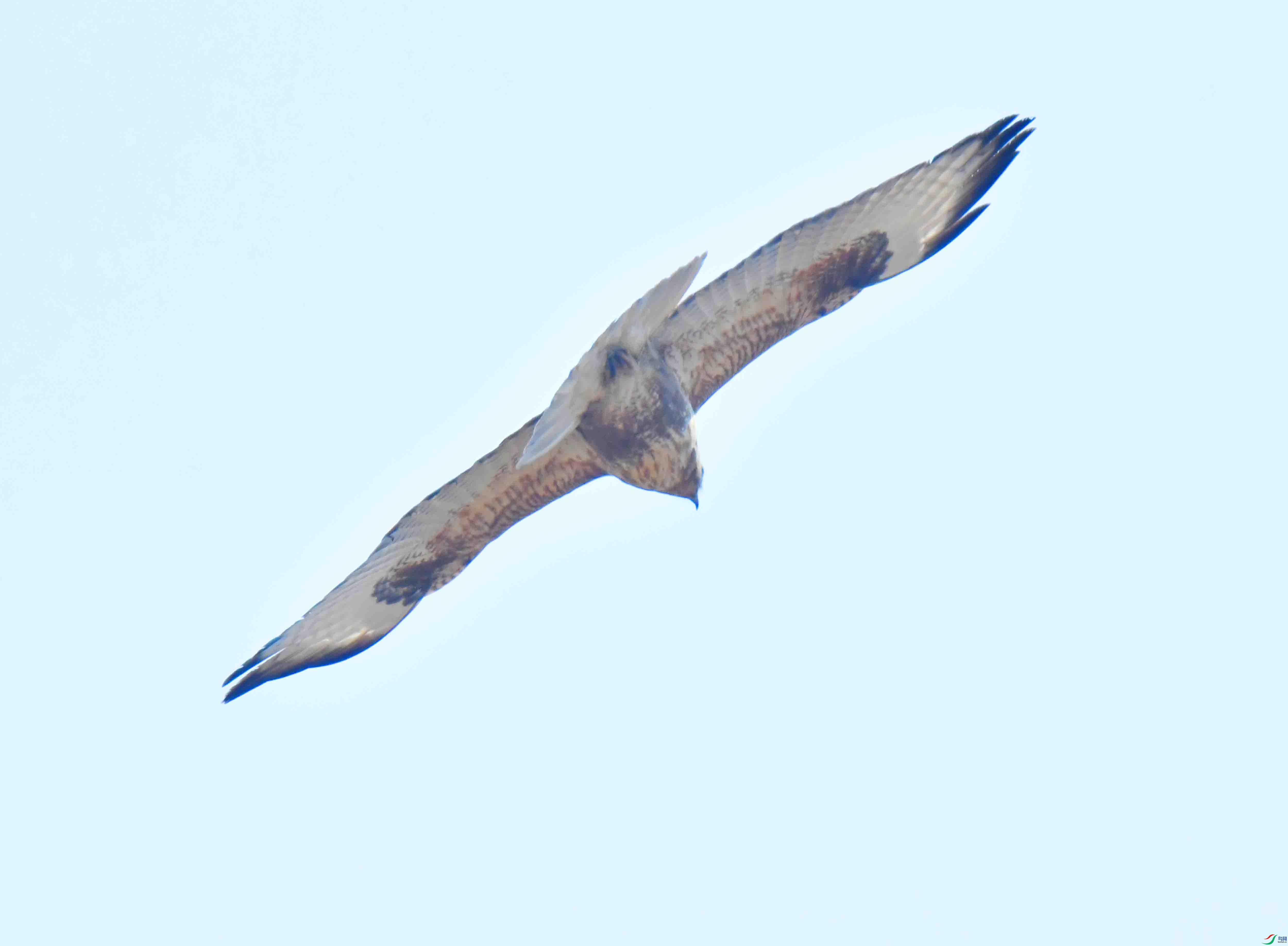 DSC_0971.JPG