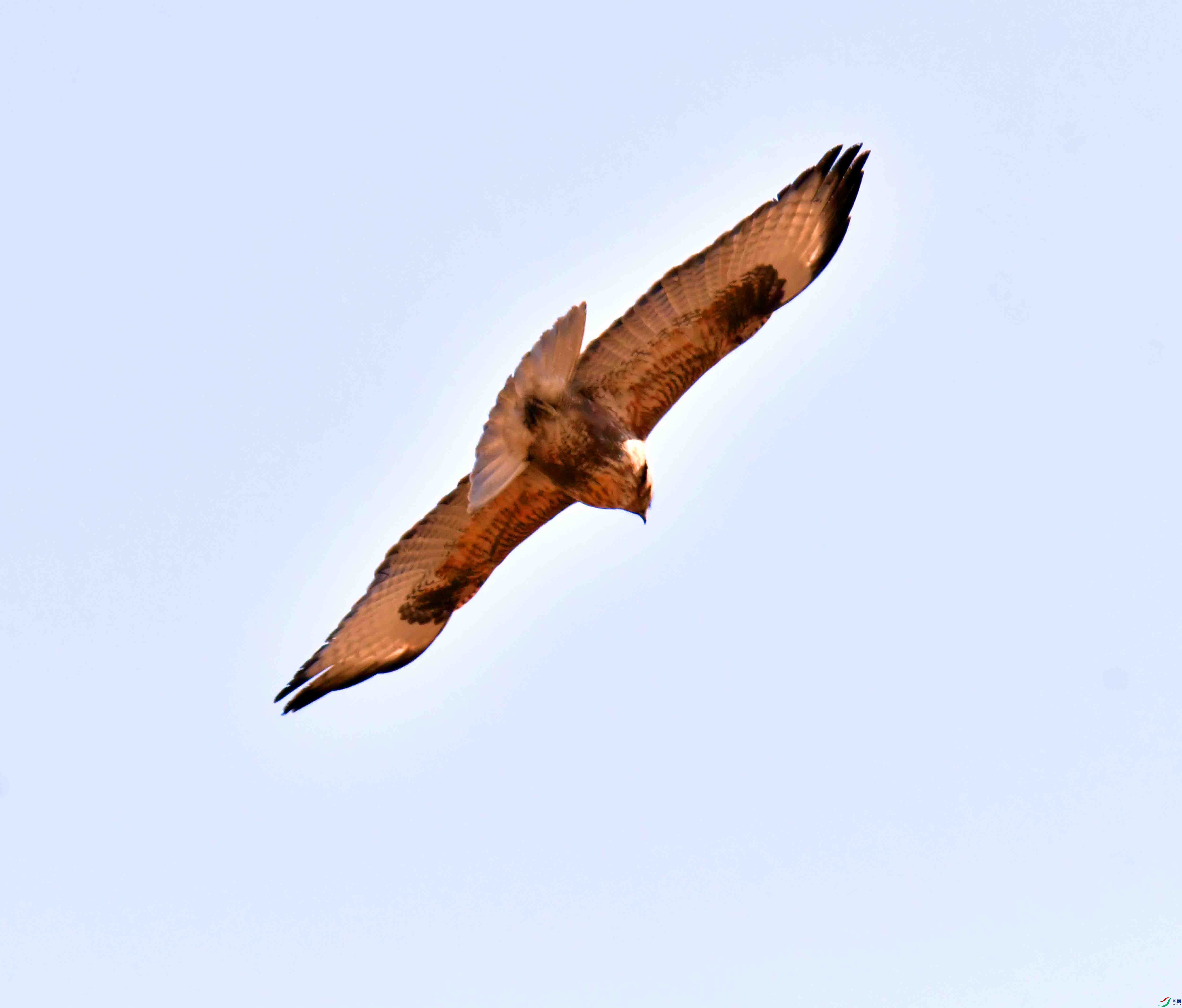 DSC_0982.JPG