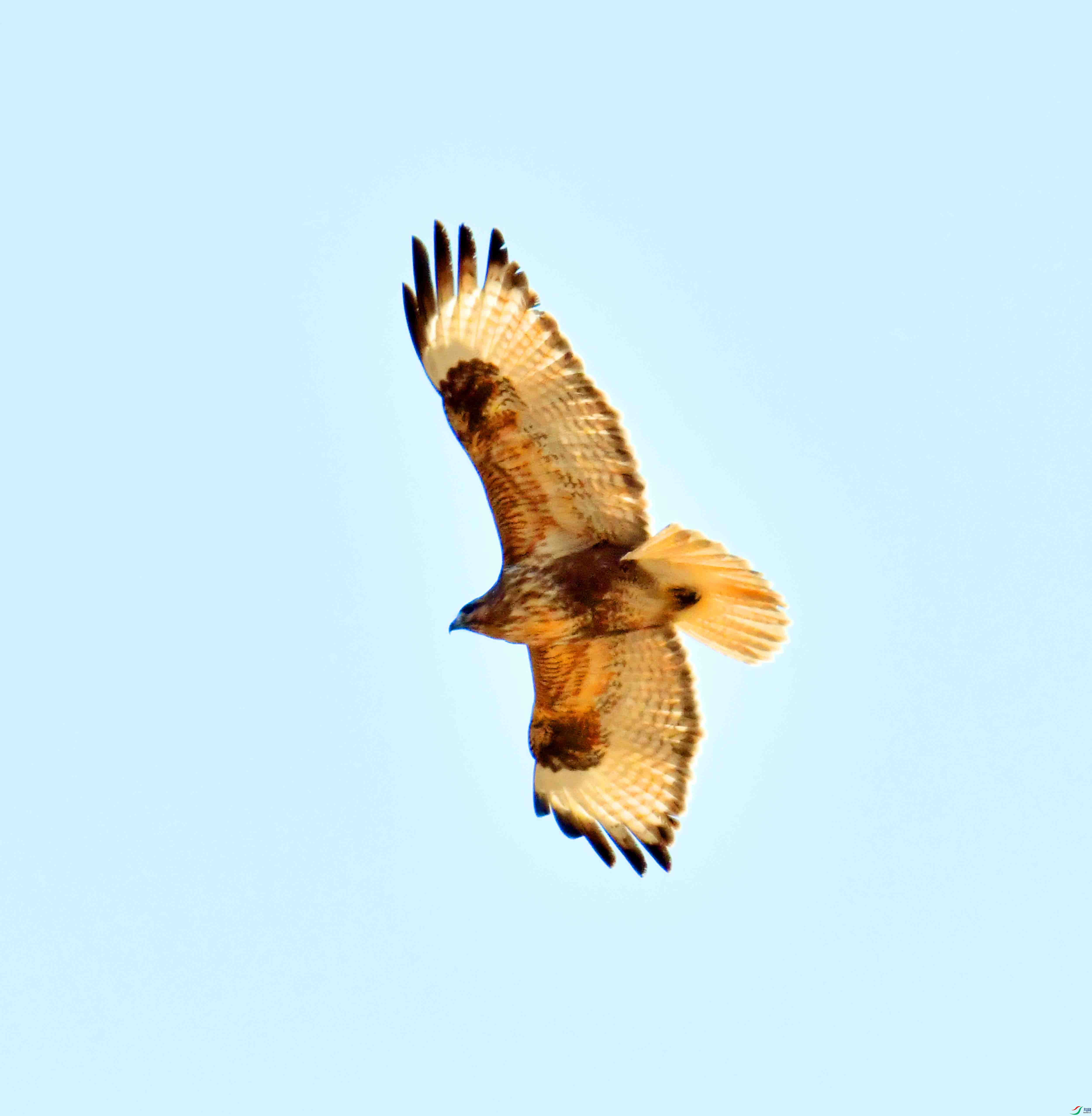 DSC_1002.JPG