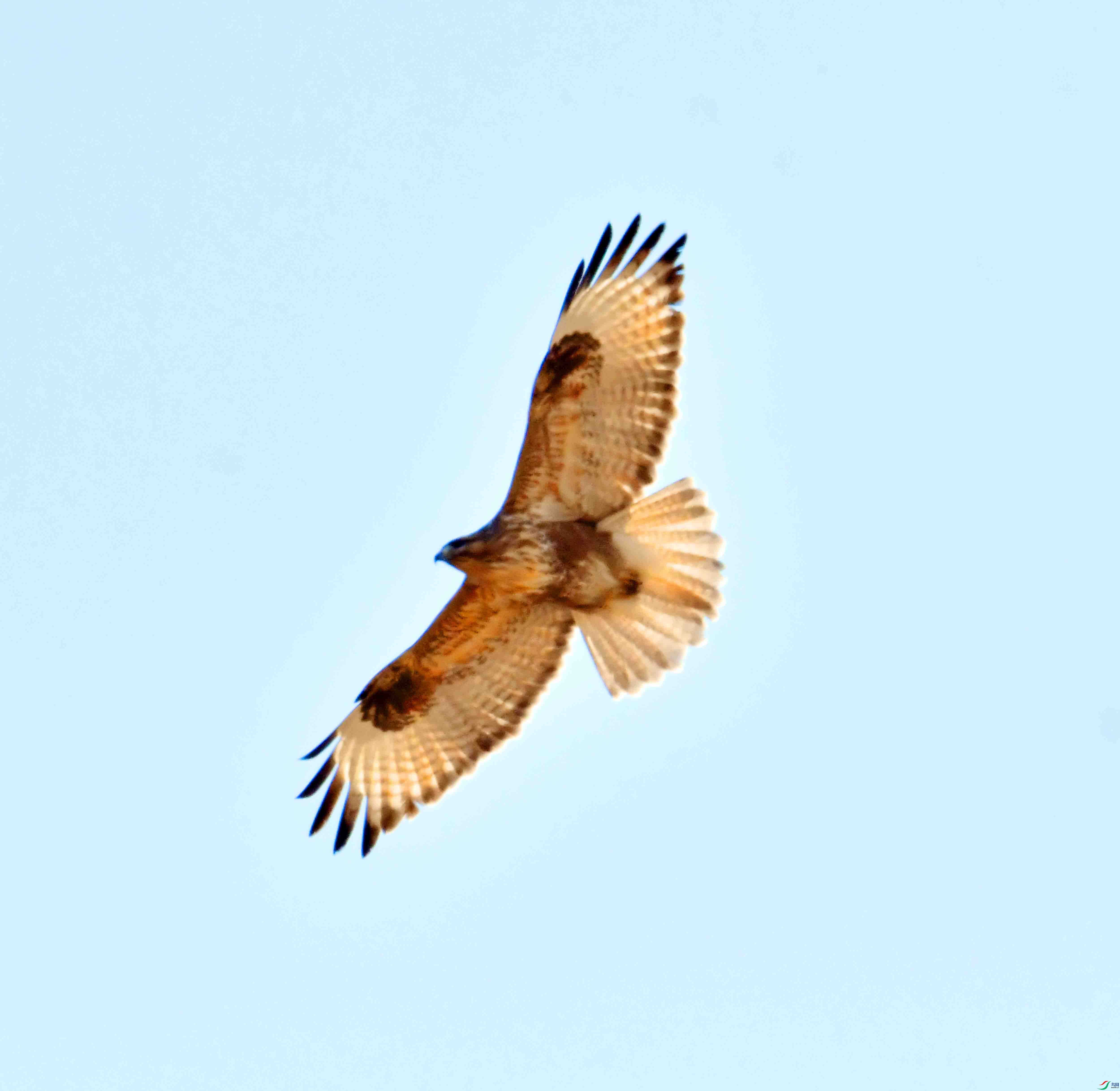 DSC_1000.JPG