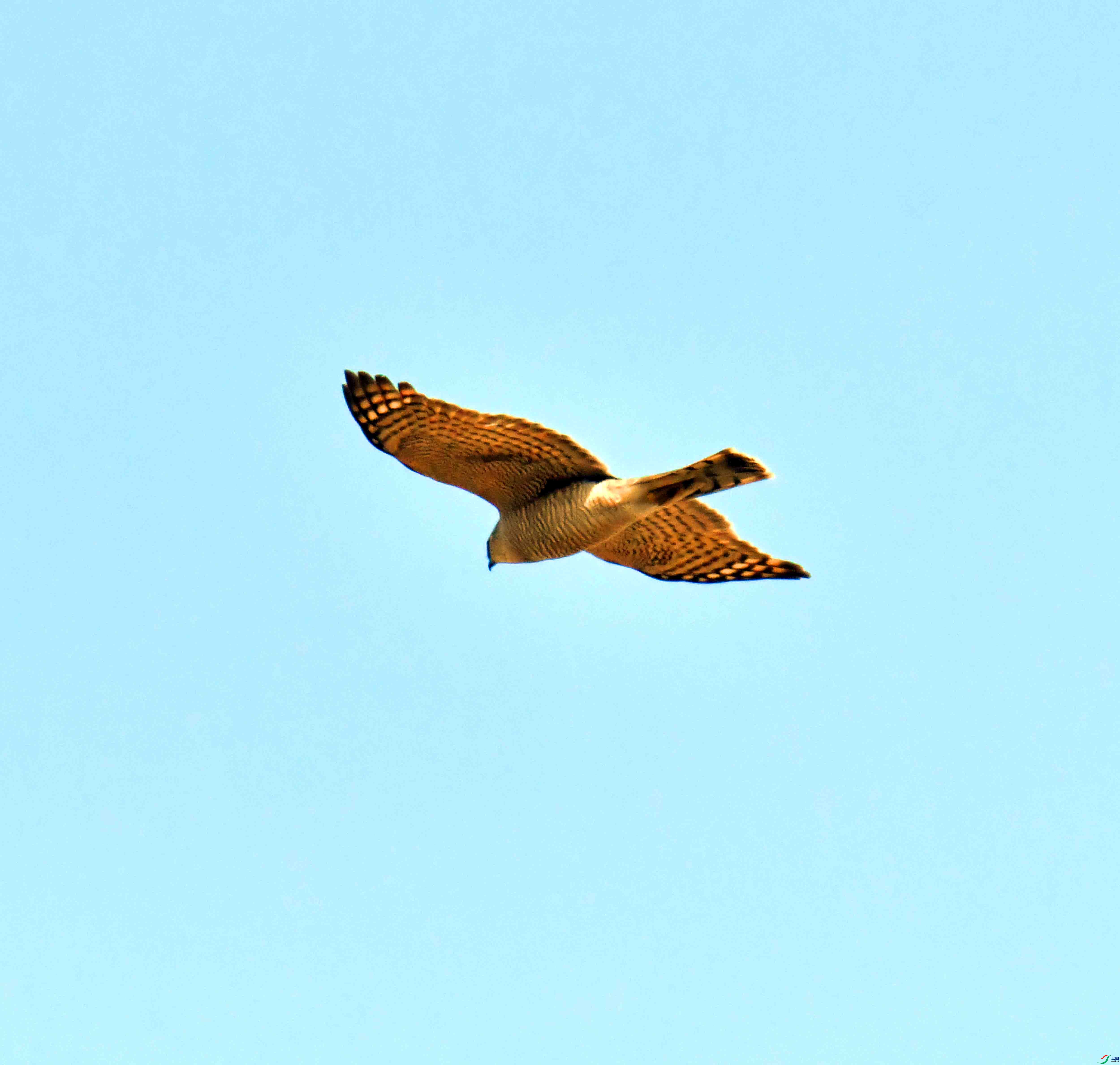 DSC_1019.JPG